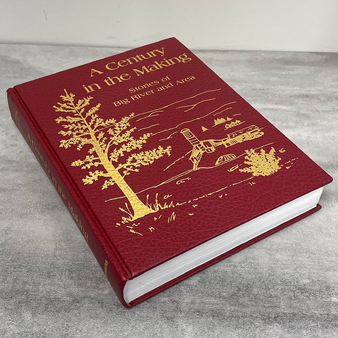 Century Making Big River Saskatchewan Canada Canadian Local History Used Book