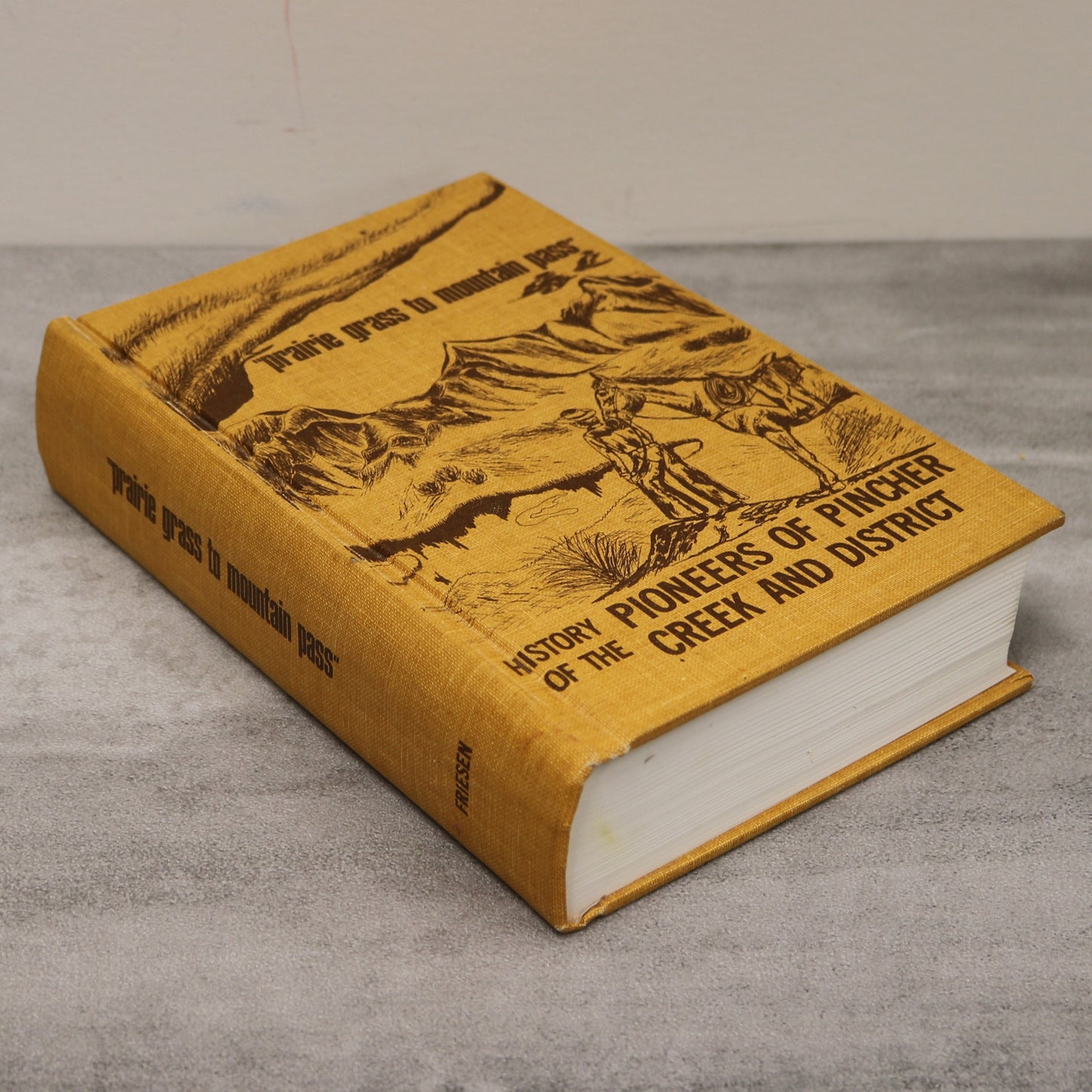 Prairie Grass Mountain Pass Pincher Creek Alberta Canada Canadian Local History Book