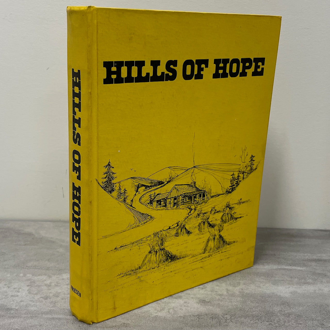 Hills of Hope Spruce Grove District Alberta Canada Canadian Local History Book