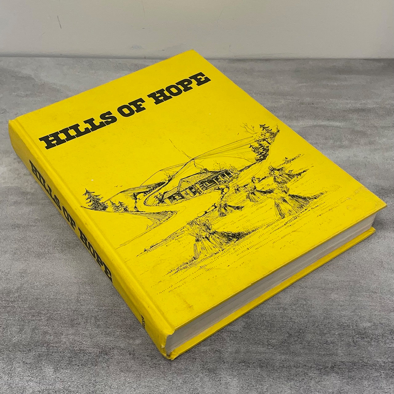 Hills of Hope Spruce Grove District Alberta Canada Canadian Local History Book