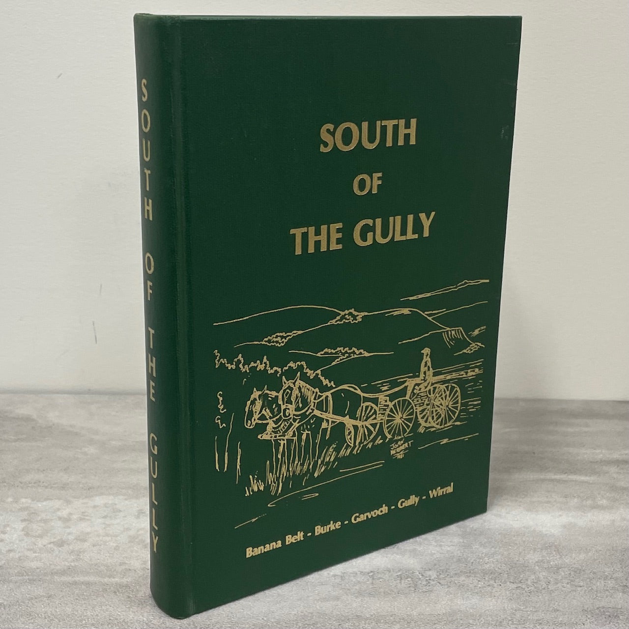 South of the Gully Lashburn Lloydminster Saskatchewan History Canada Used Book