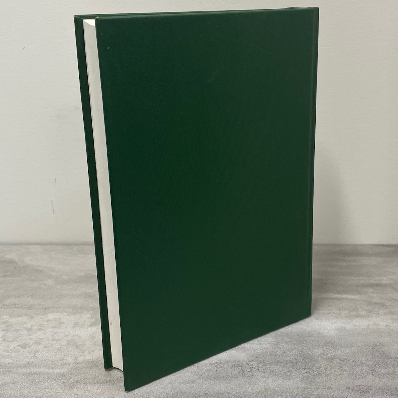 South of the Gully Lashburn Lloydminster Saskatchewan History Canada Used Book