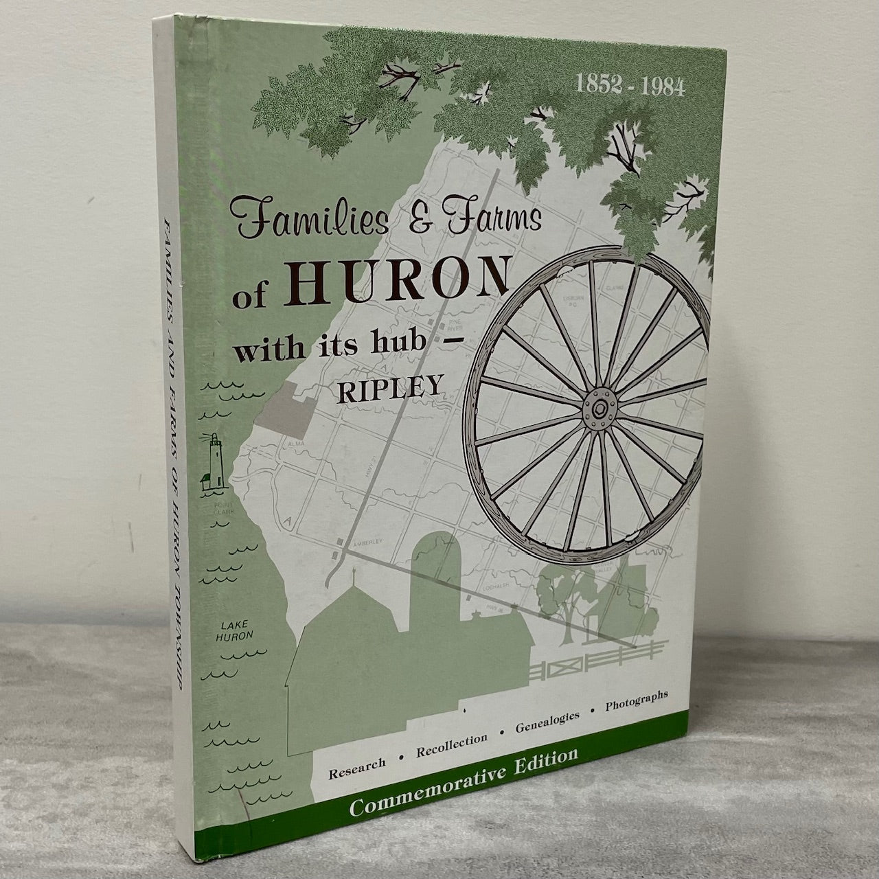 Families Farms Huron Township Ripley Ontario History Canada Canadian Used Book
