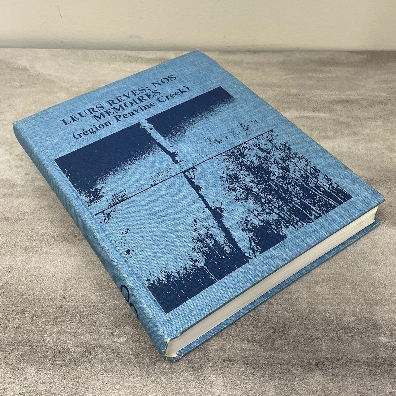 Leurs Reves Peavine Creek Donnelly Falher Alberta Peace River Canada History Used Book