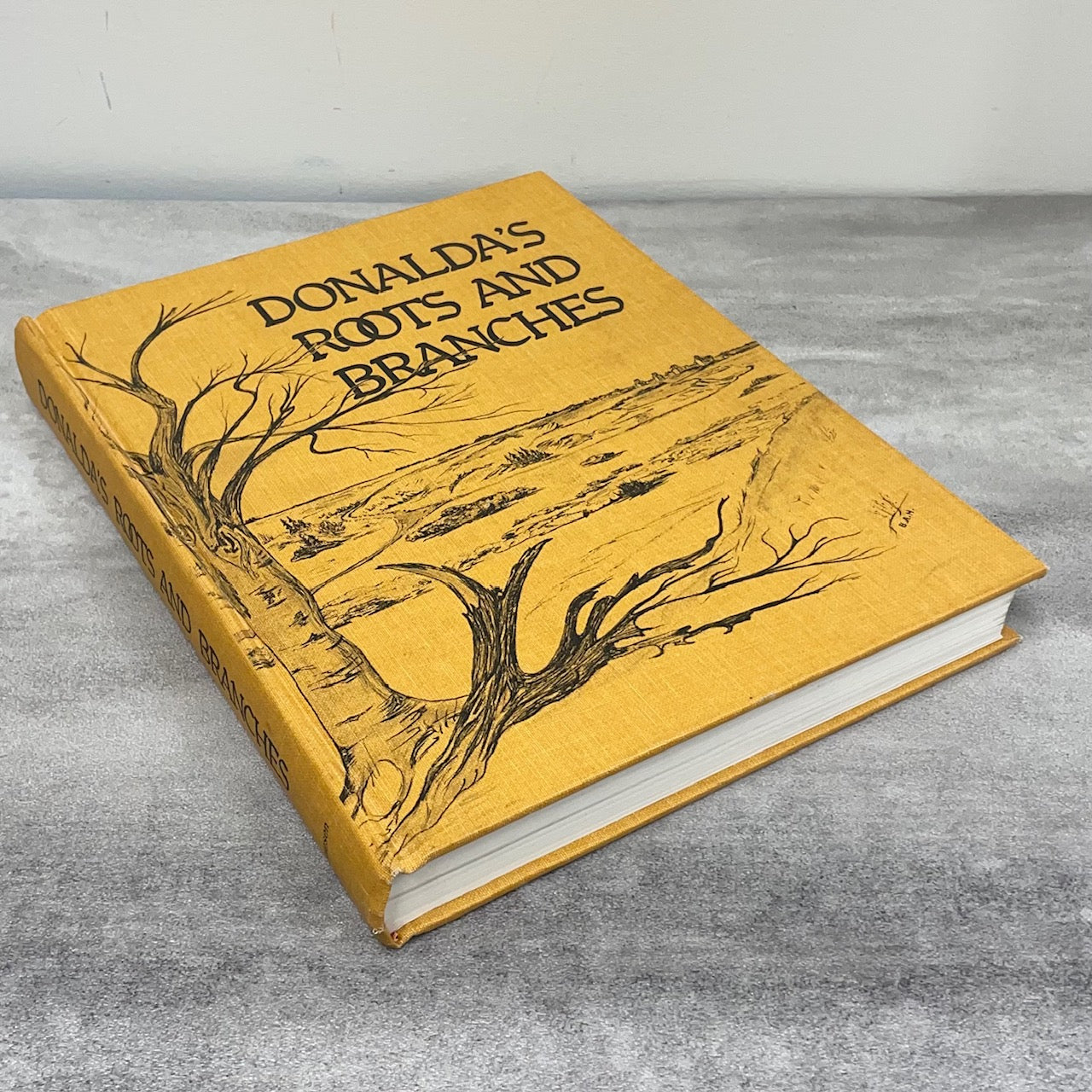 Donalda Roots and Branches Alberta Canada Canadian Community History Book