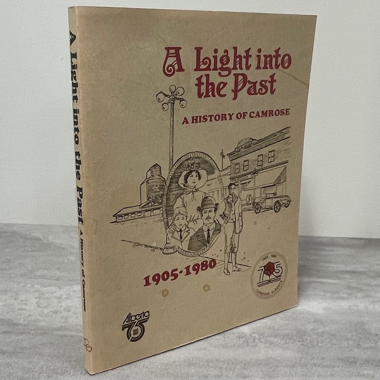A Light into the Past Camrose Alberta Canada Canadian Used History Book