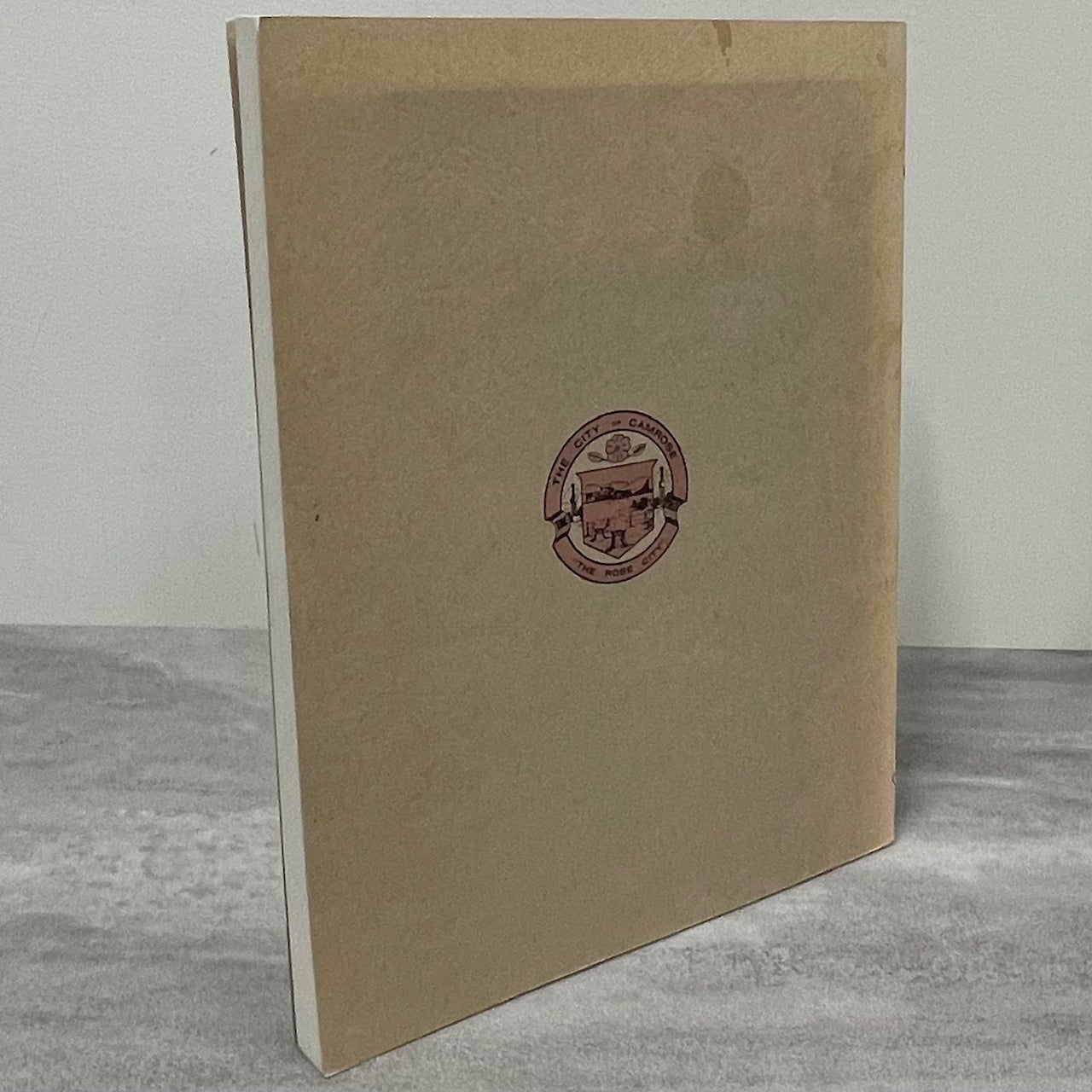 A Light into the Past Camrose Alberta Canada Canadian Used History Book