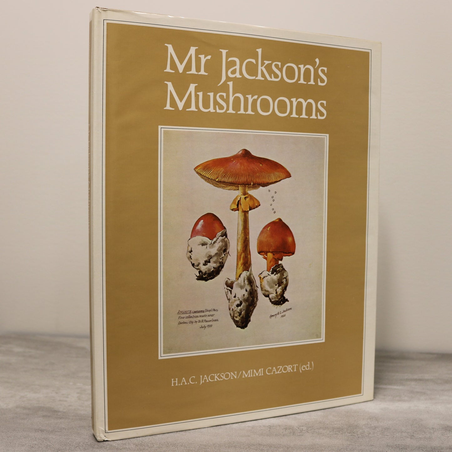 H.A.C. Jackson Mushrooms Watercolour Painting Canadian Canada Artist Art Used Book