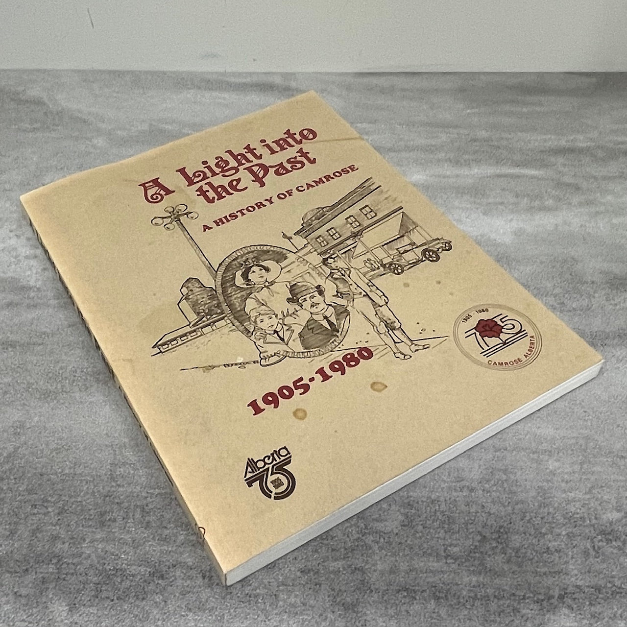 A Light into the Past Camrose Alberta Canada Canadian Used History Book