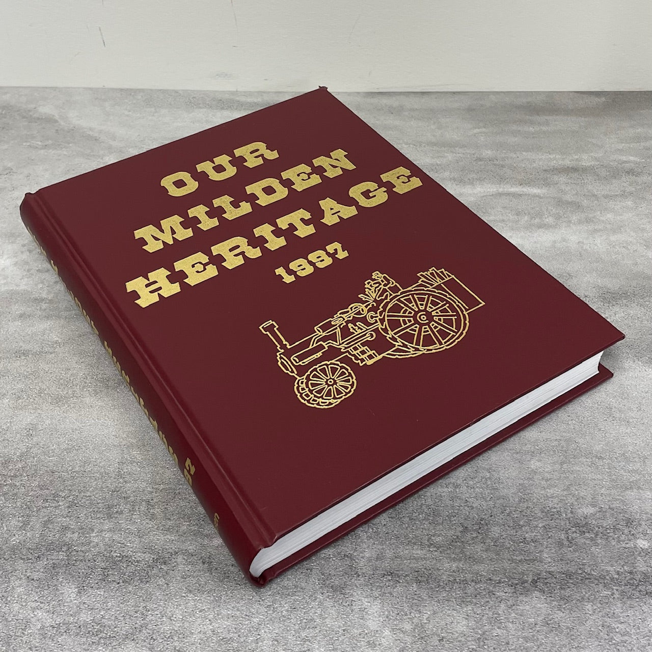 Milden Heritage Rosetown Saskatchewan Canada Canadian Local History Used Book