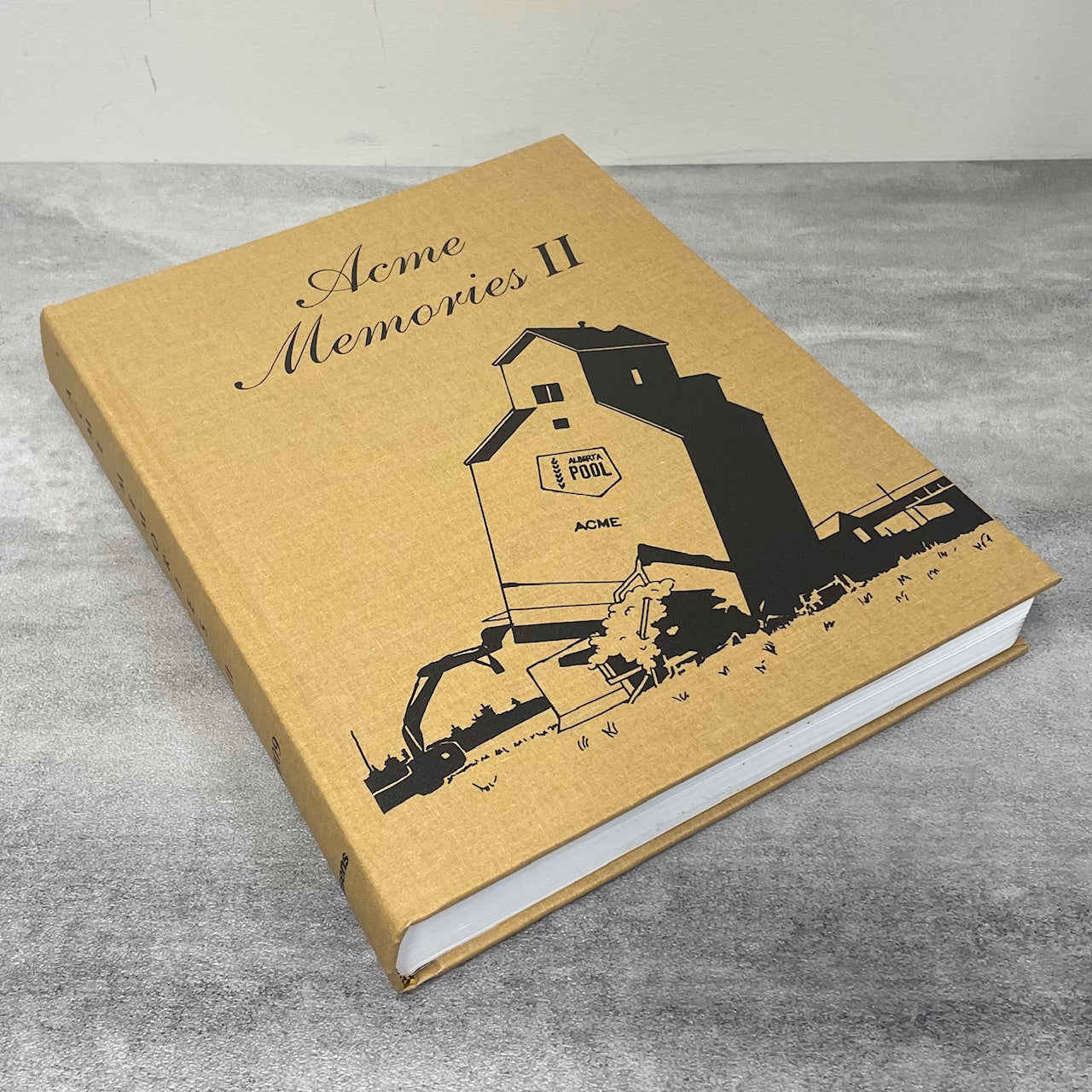 Acme Memories II Alberta Canada Canadian Community Local History Used Book