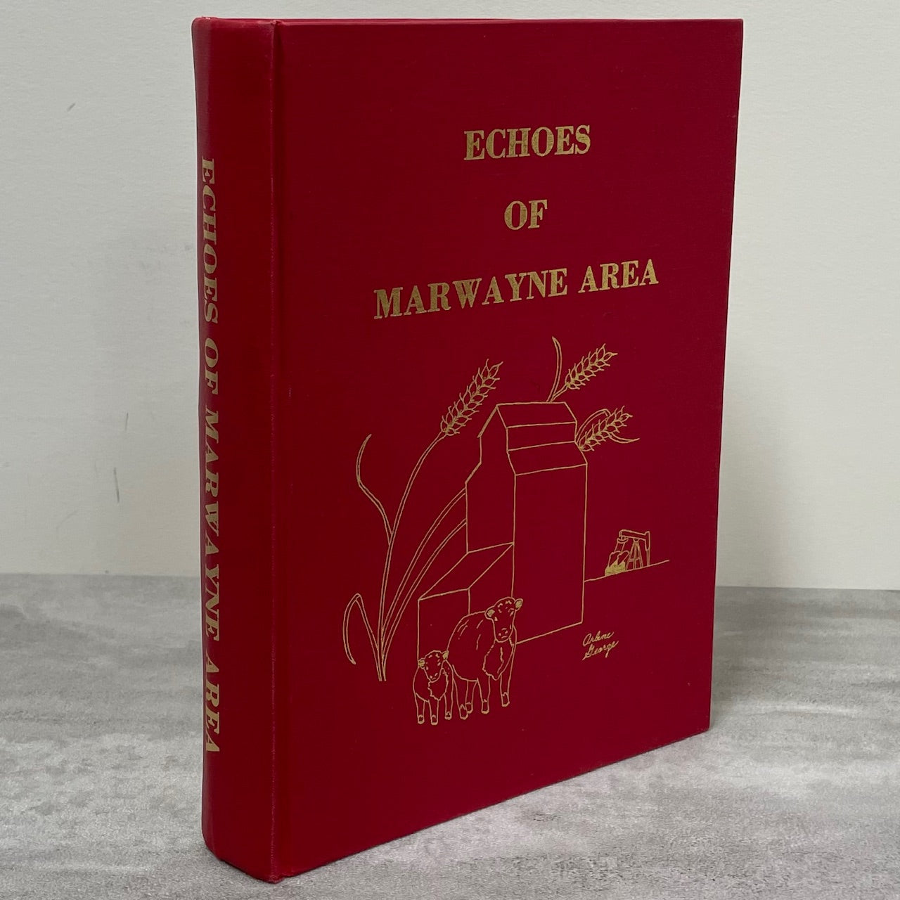 Echoes of Marwayne Alberta Canada Canadian Community History Used Book