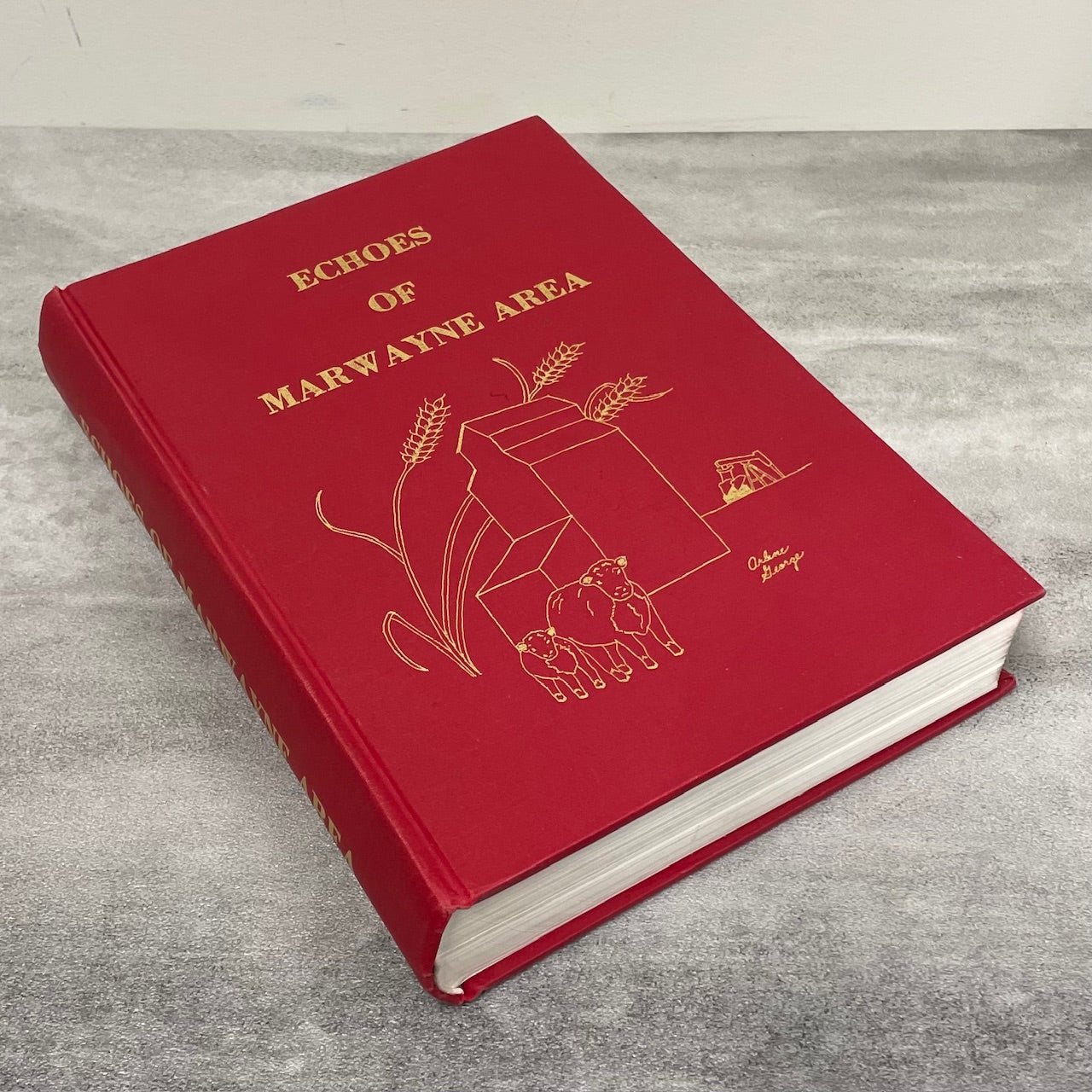 Echoes of Marwayne Alberta Canada Canadian Community History Used Book