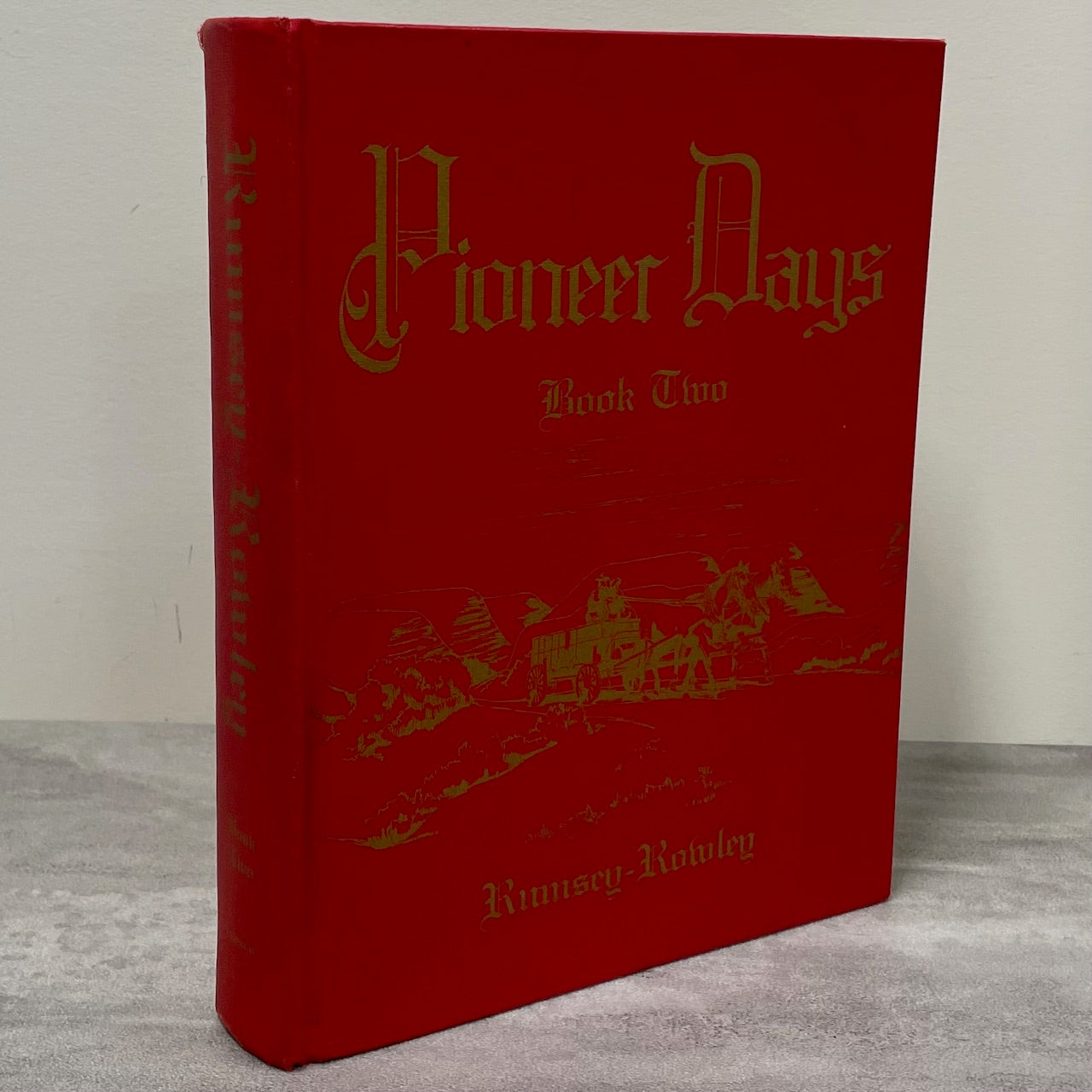 Pioneer Days Rumsey Rowley Vol. 2 Alberta Canada Canadian Local History Book