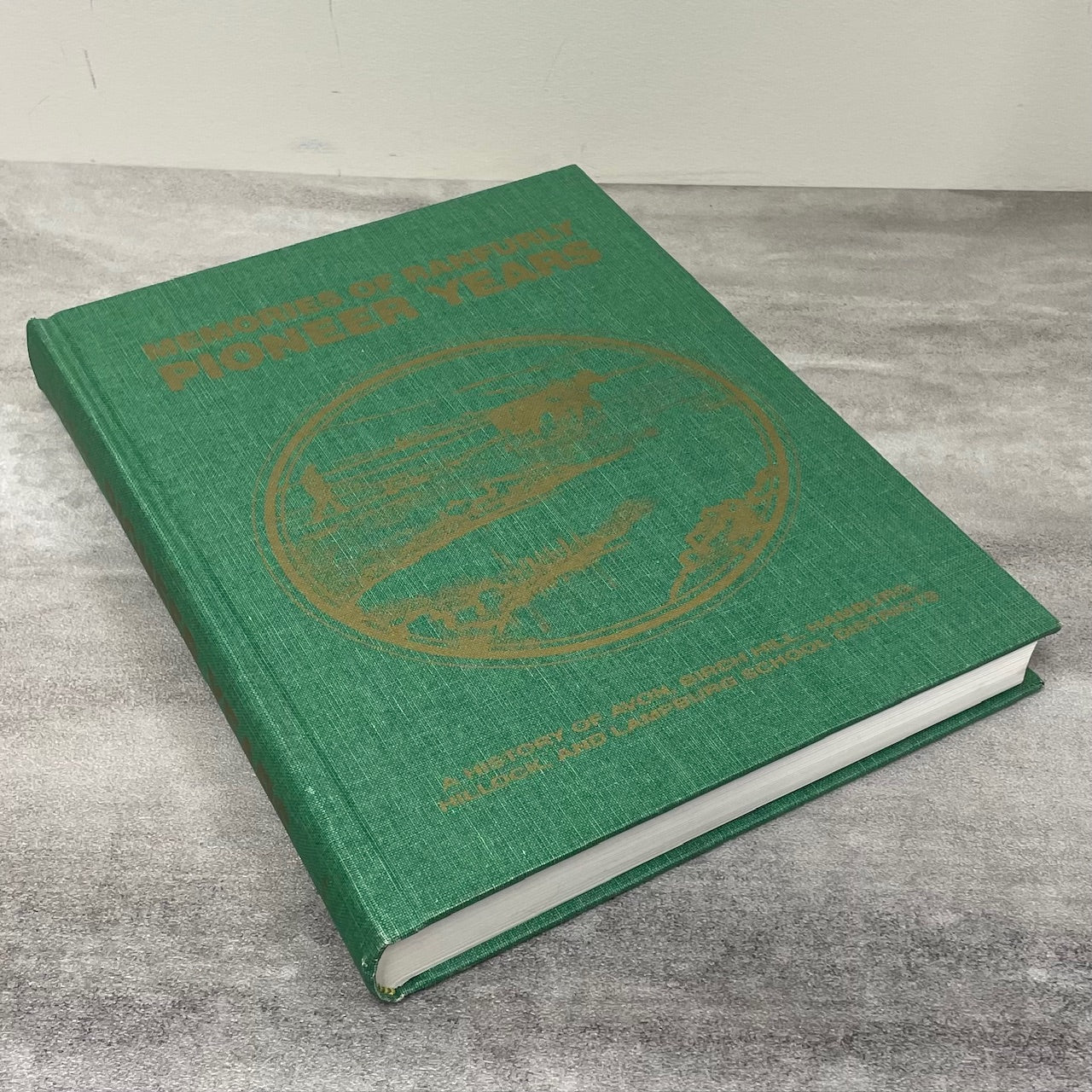 Memories Ranfurly Pioneer Years Alberta Canada Minburn Innisfree History Used Book