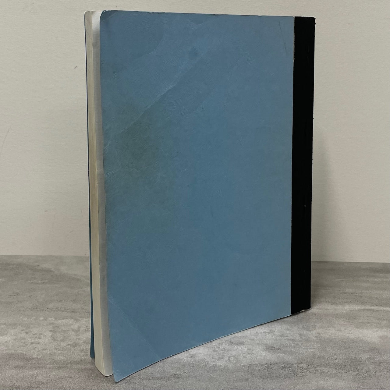 A Backward Glance Glenavon Saskatchewan Canada Canadian History Used Book