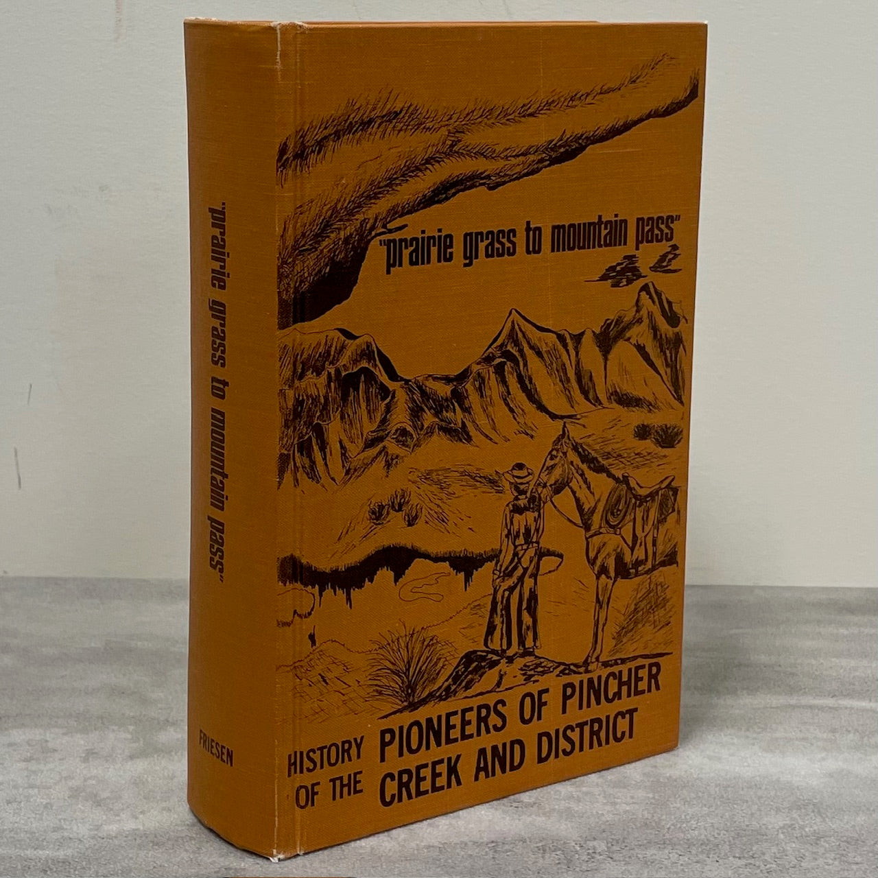 Prairie Grass Mountain Pass Pincher Creek Alberta Canada Canadian Local History Book