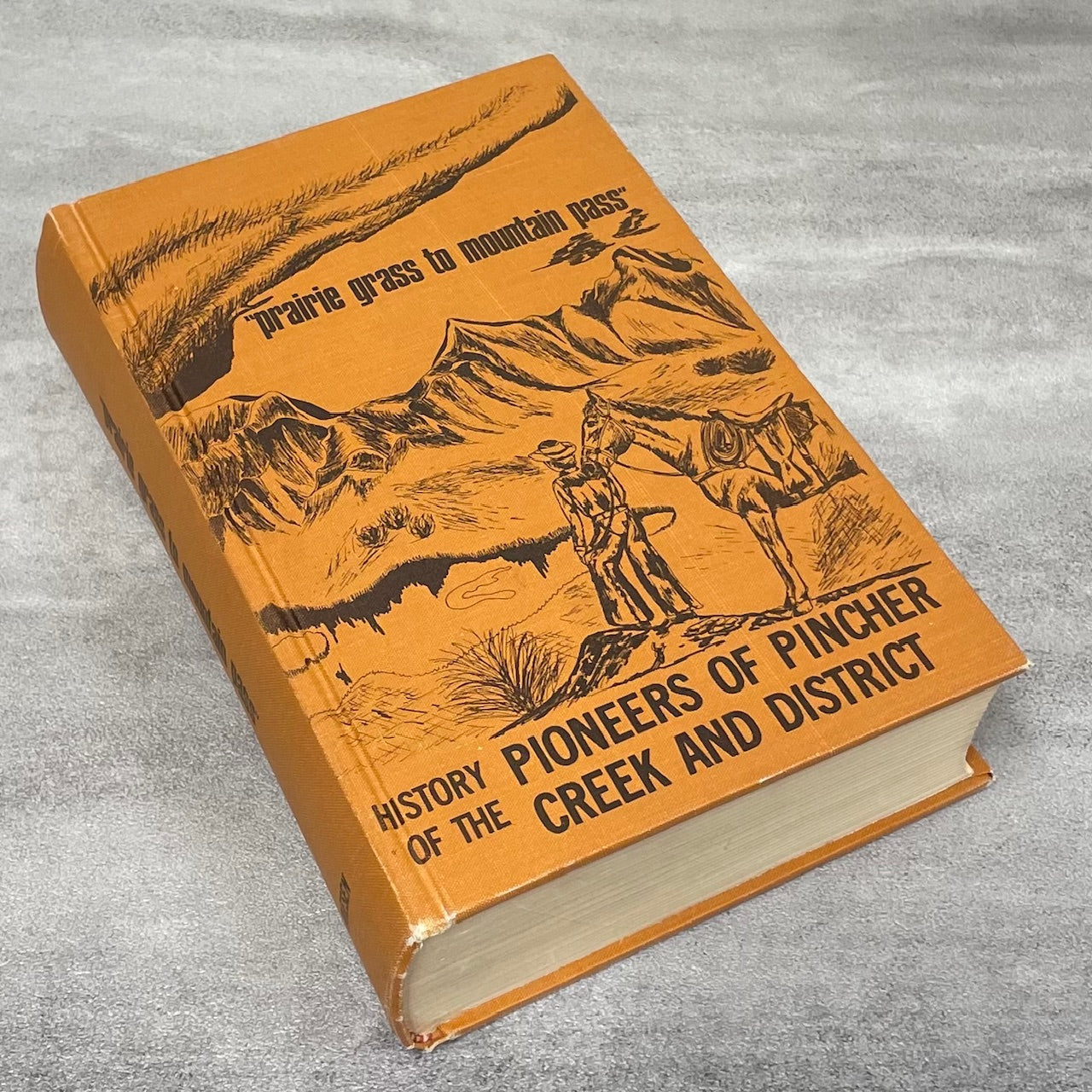 Prairie Grass Mountain Pass Pincher Creek Alberta Canada Canadian Local History Book