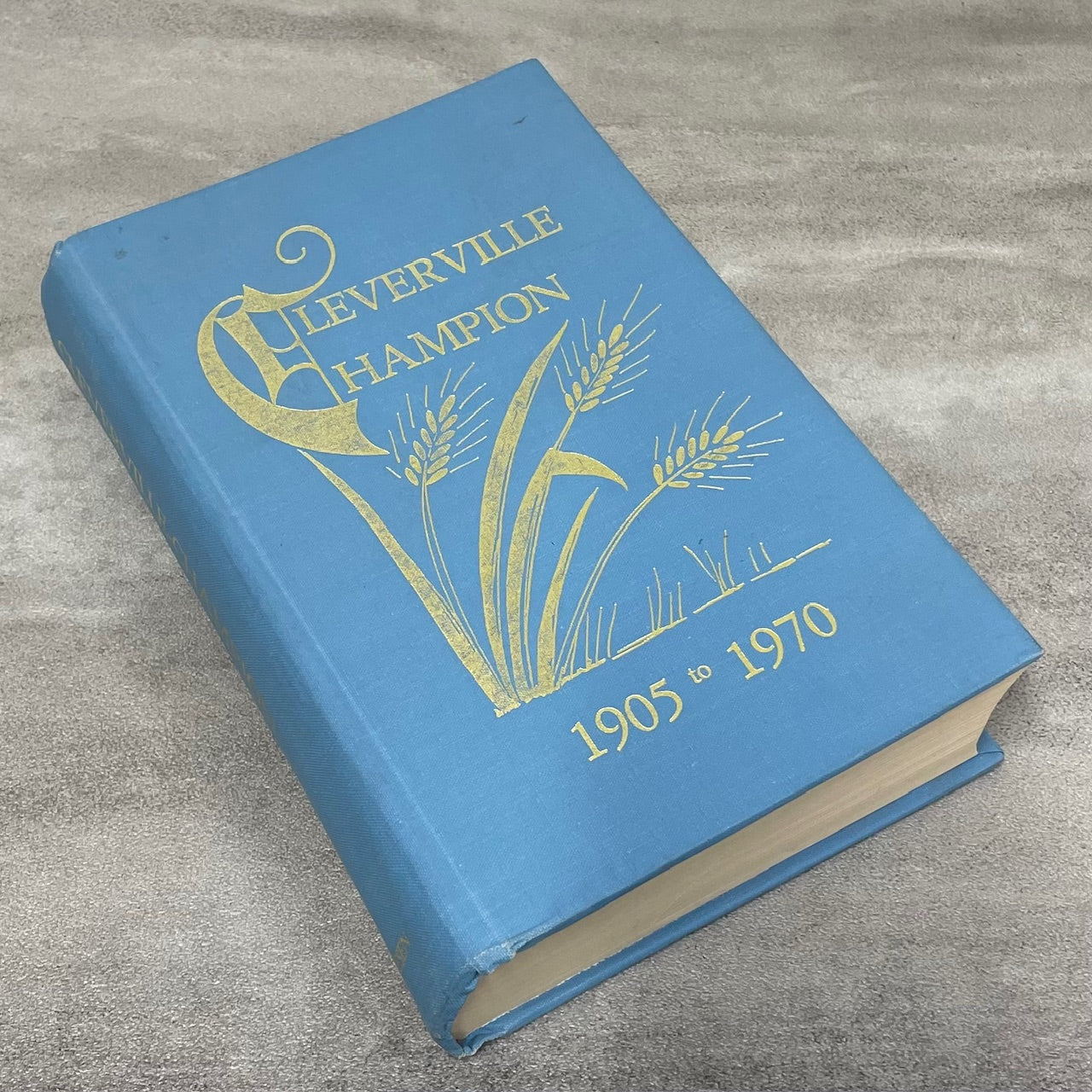 Cleverville Champion Alberta Canada Canadian Local History Book