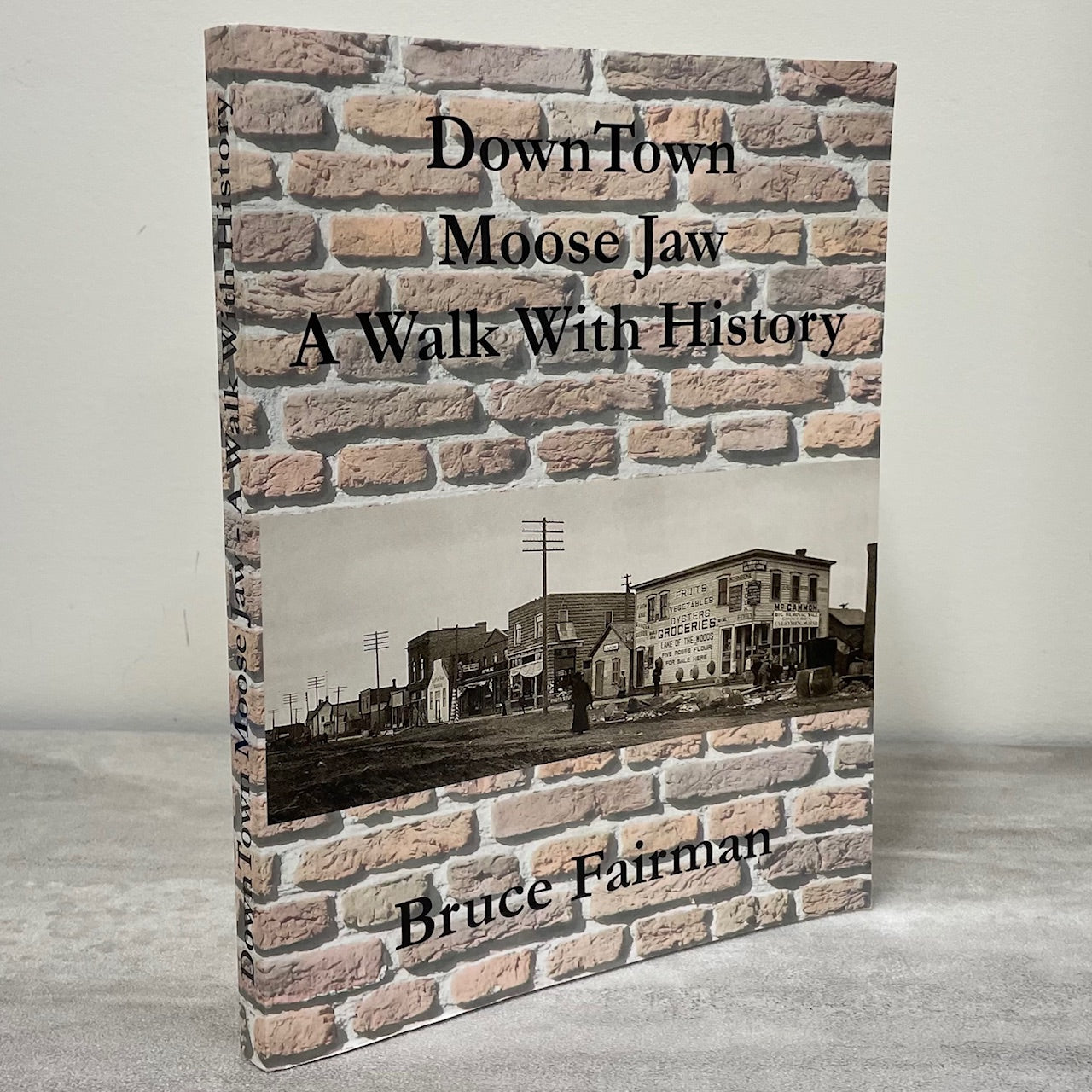 Downtown Moose Jaw History Saskatchewan Canada Canadian Used Book