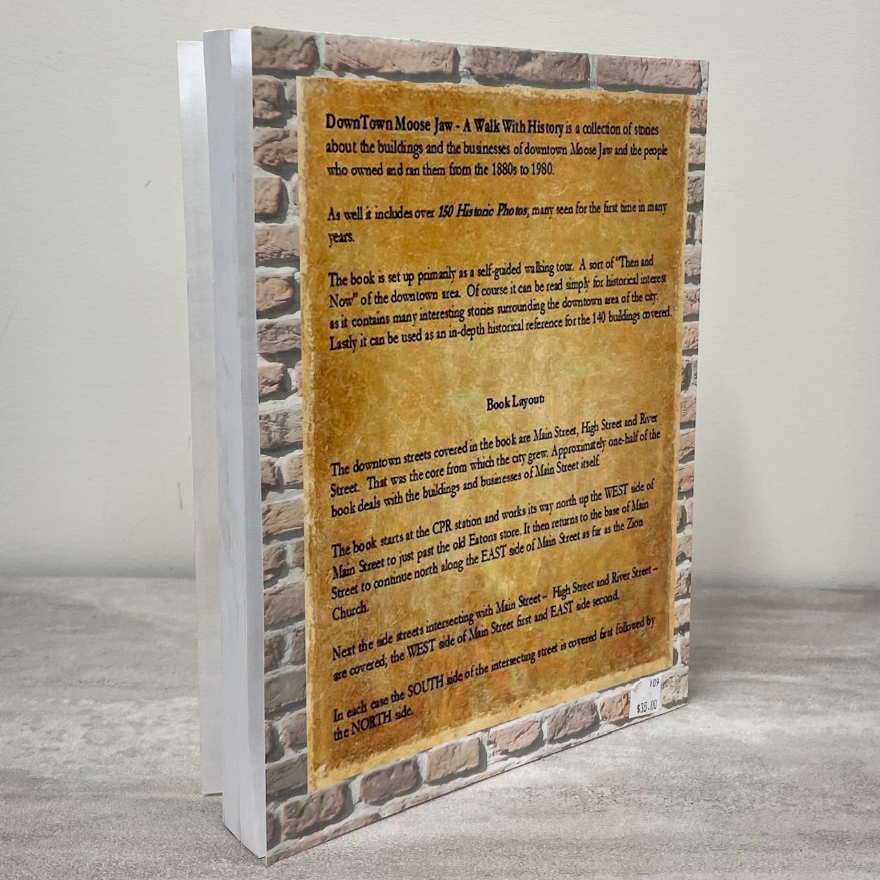 Downtown Moose Jaw History Saskatchewan Canada Canadian Used Book