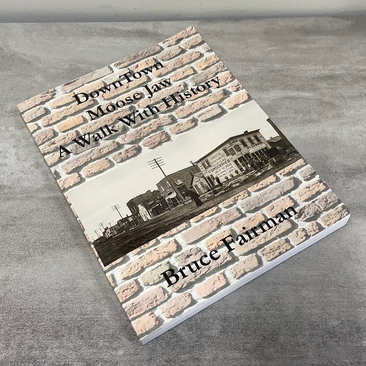 Downtown Moose Jaw History Saskatchewan Canada Canadian Used Book