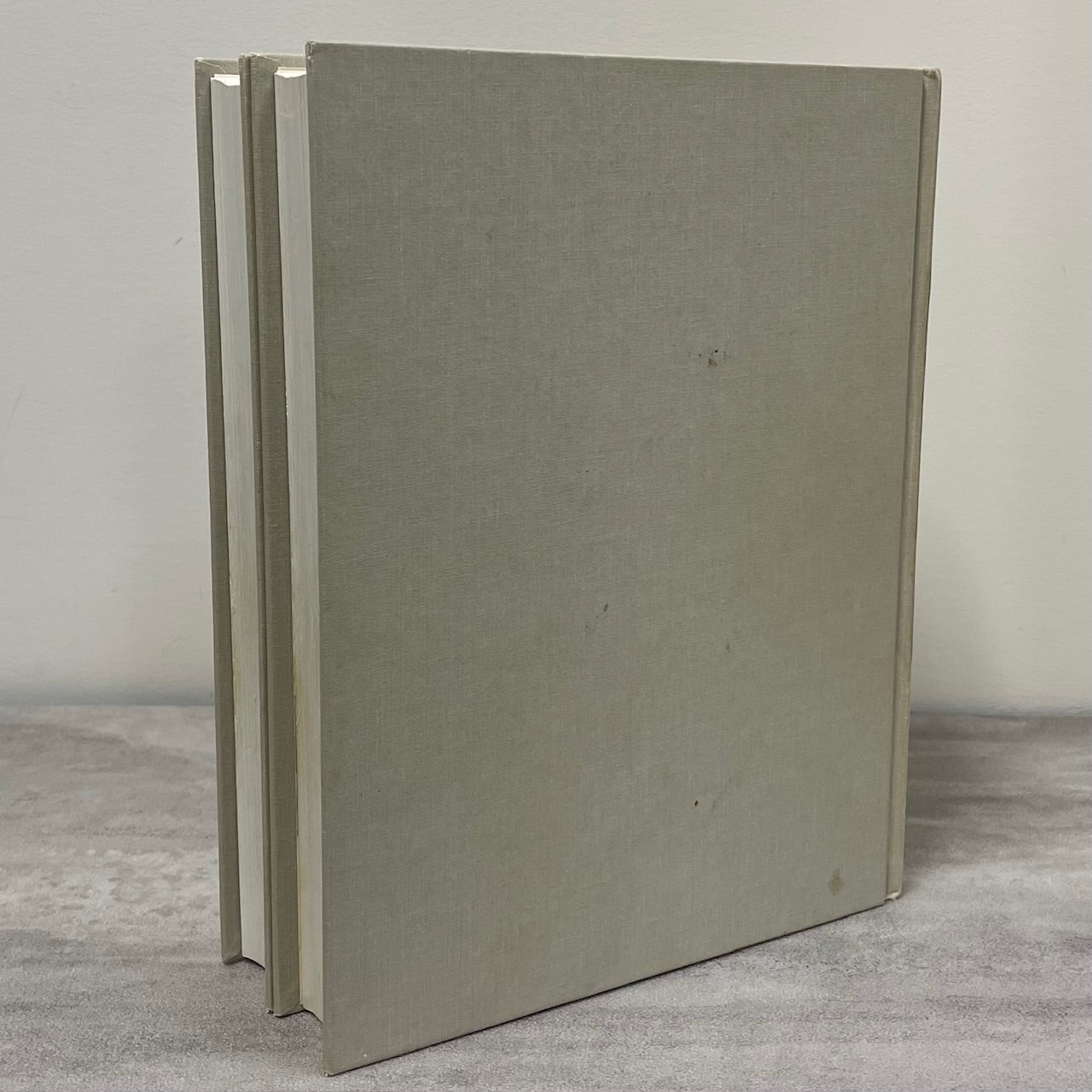 Bridging Brenda 2 Vols Waskada Manitoba Canada Medora Goodlands History Book