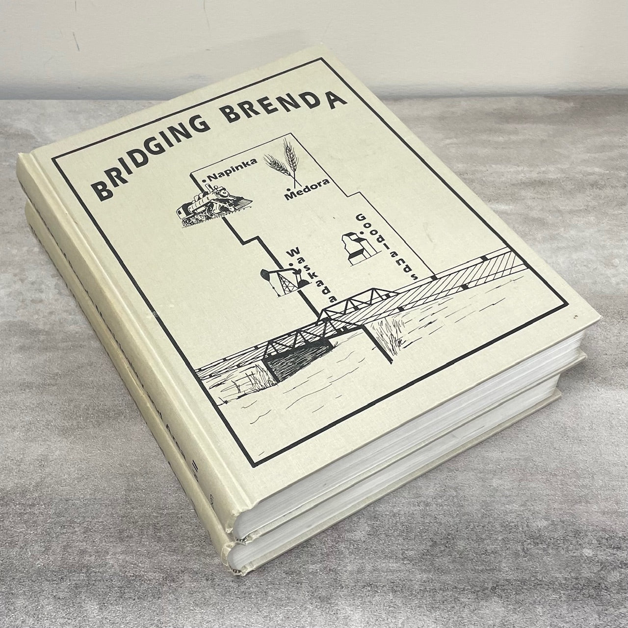 Bridging Brenda 2 Vols Waskada Manitoba Canada Medora Goodlands History Book