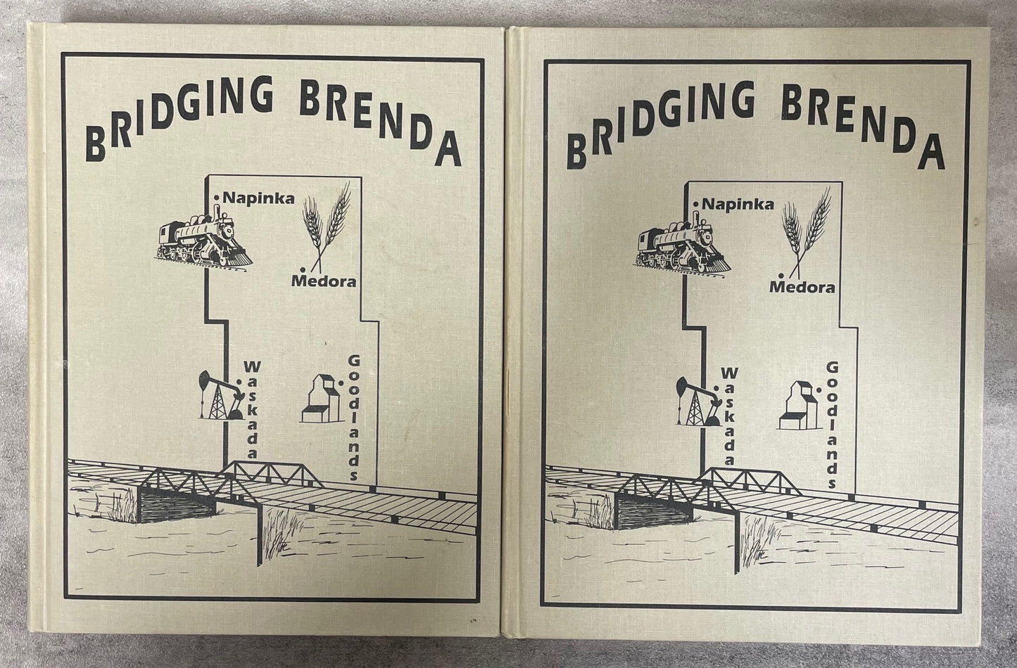 Bridging Brenda 2 Vols Waskada Manitoba Canada Medora Goodlands History Book