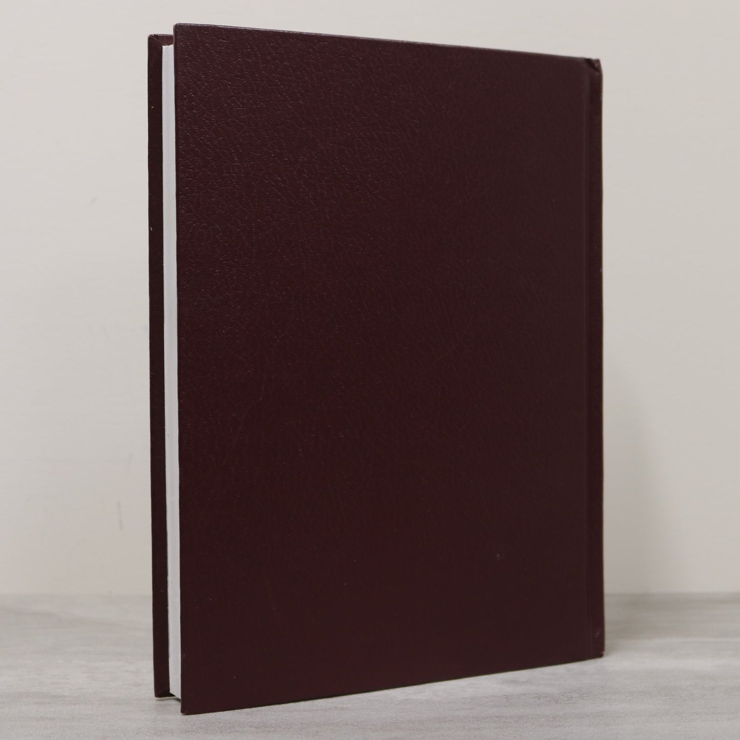 The Way Things Were Vol 2 LeRoy Saskatchewan Canada Canadian Local History Book