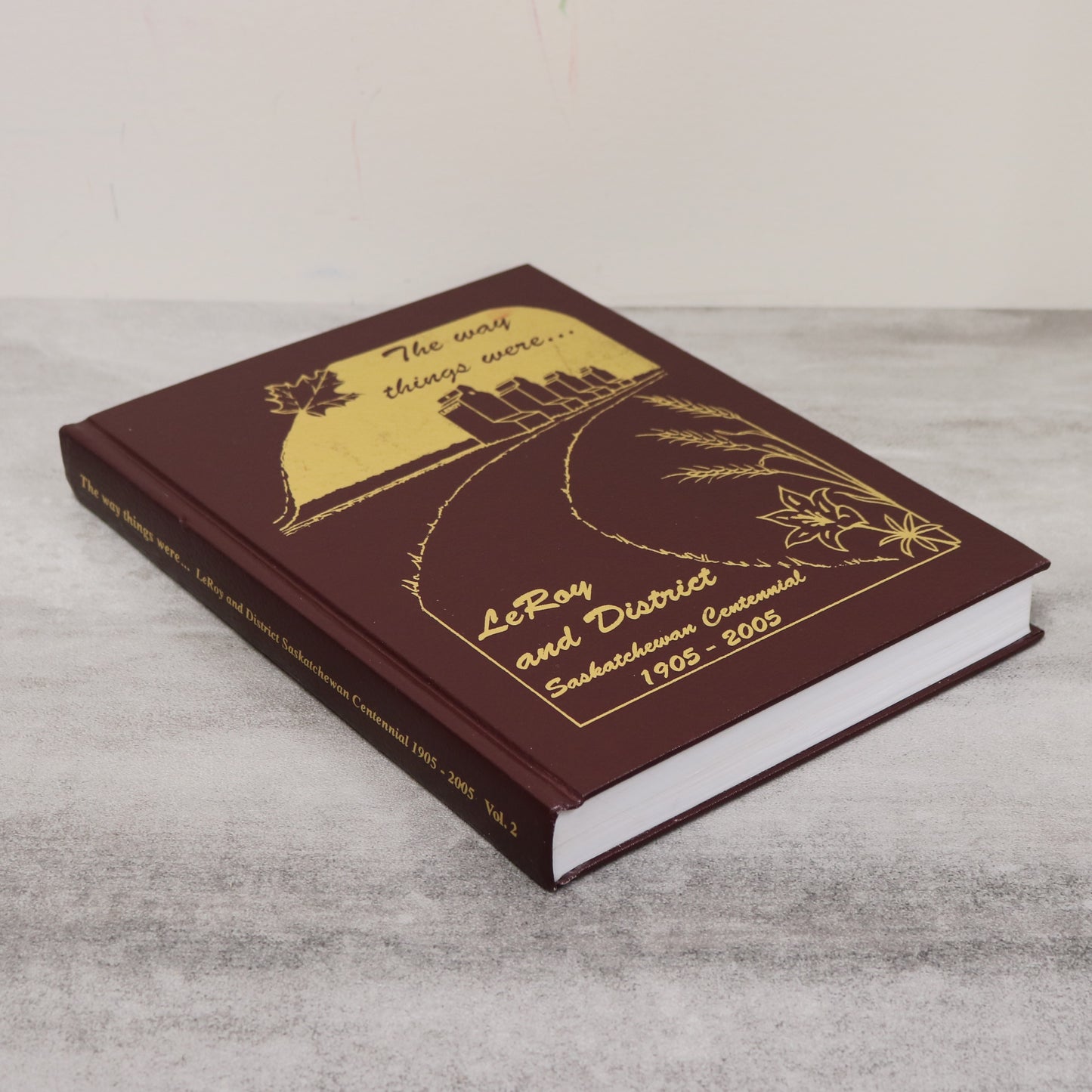 The Way Things Were Vol 2 LeRoy Saskatchewan Canada Canadian Local History Book