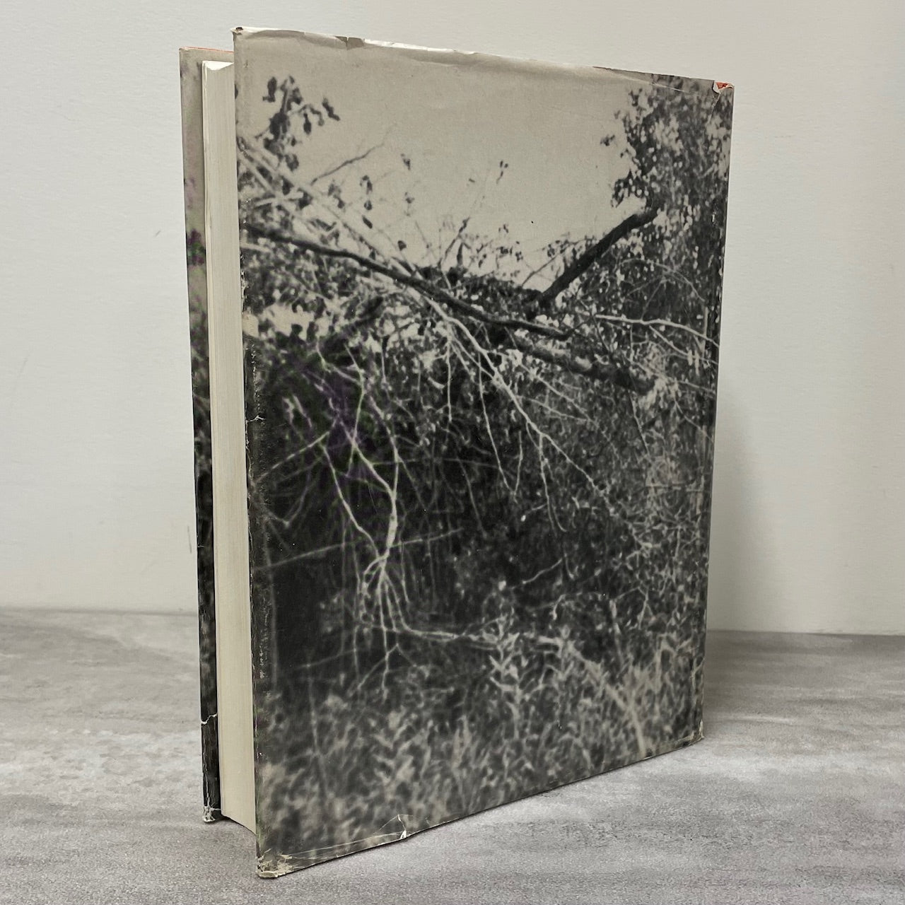 New Sarepta Looking Back Alberta Canada Canadian Local History Used Book