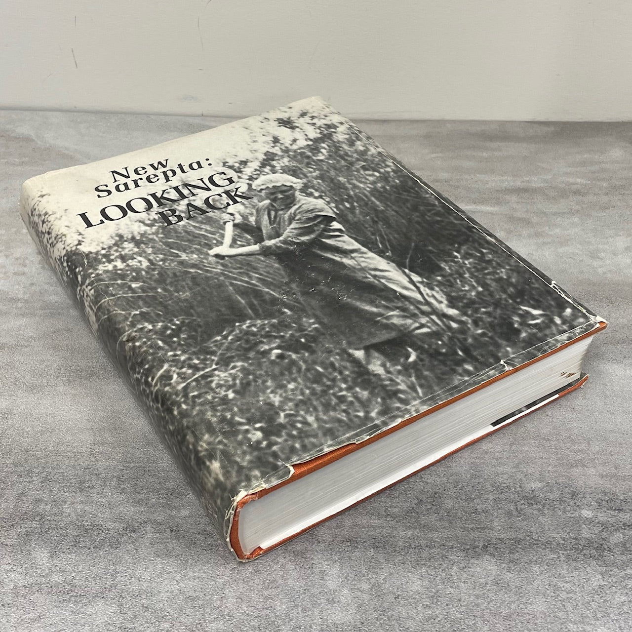 New Sarepta Looking Back Alberta Canada Canadian Local History Used Book