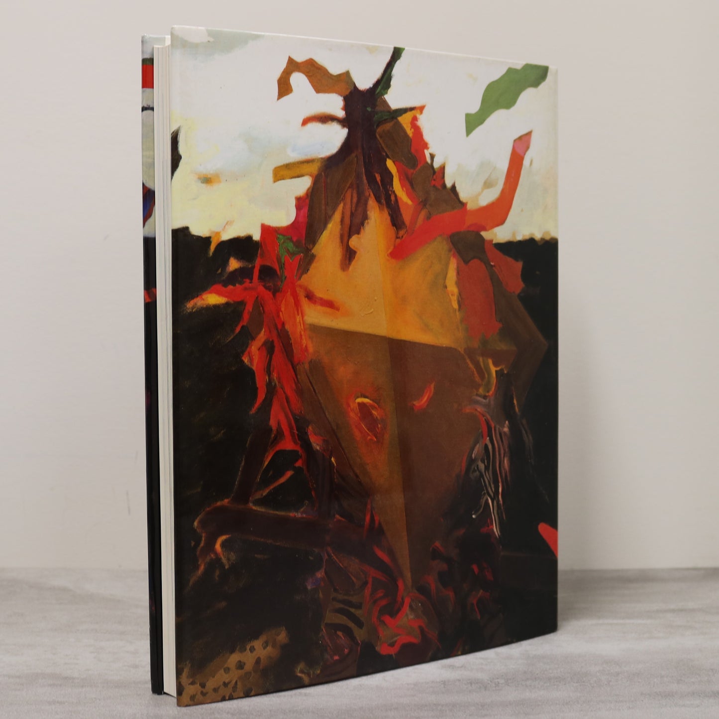 Jack Shadbolt Canada Canadian Abstract Painter Paintings BC Artist Art Used Book