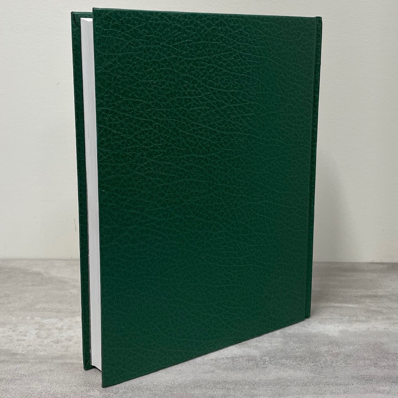 More Echoes Along Ribstone Czar Alberta History Canada Canadian Used Book