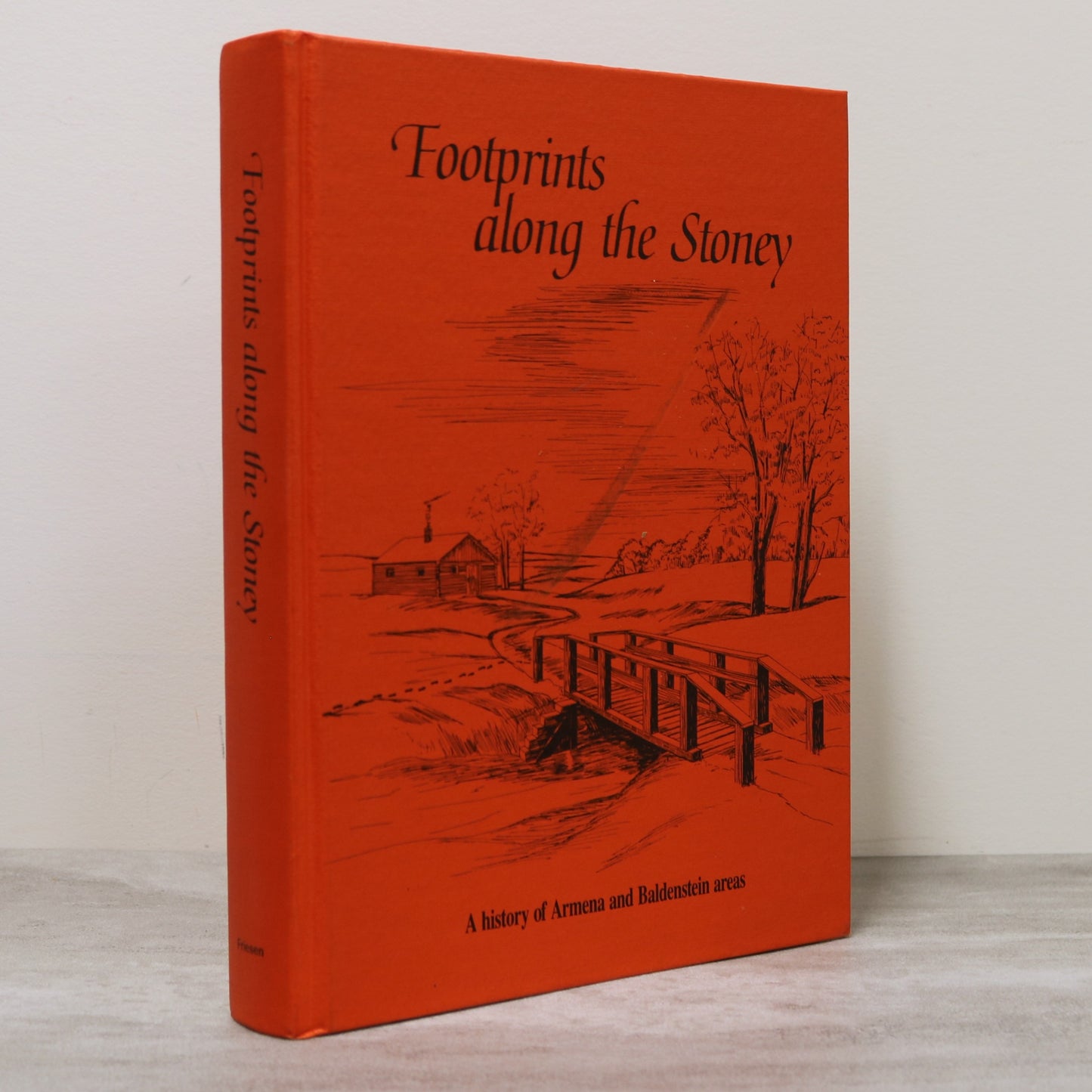 Footprints Along Stoney Armena Baldenstein Alberta Canada Camrose History Used Book