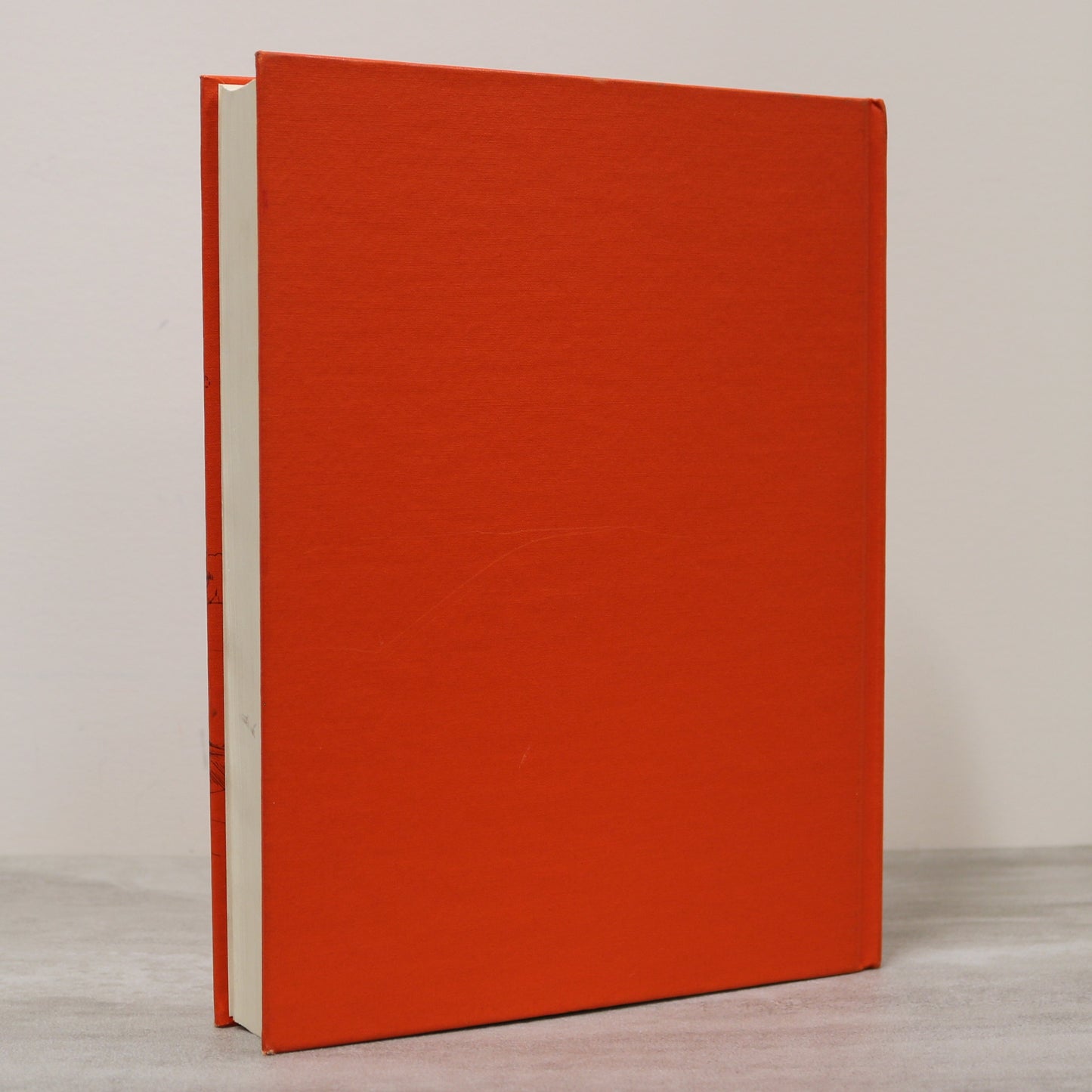 Footprints Along Stoney Armena Baldenstein Alberta Canada Camrose History Used Book