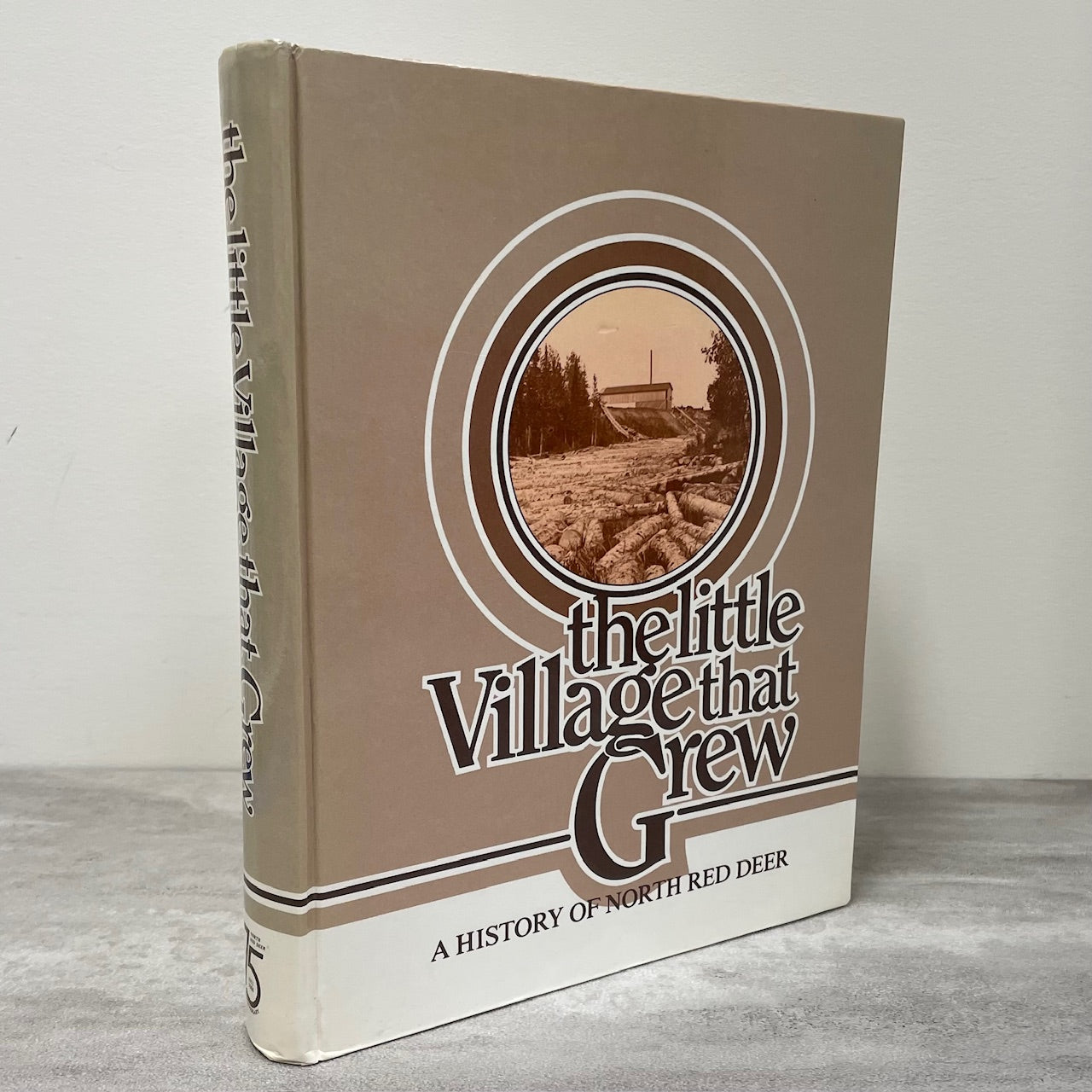 Little Village Grew North Red Deer Alberta Canada Canadian Local History Book