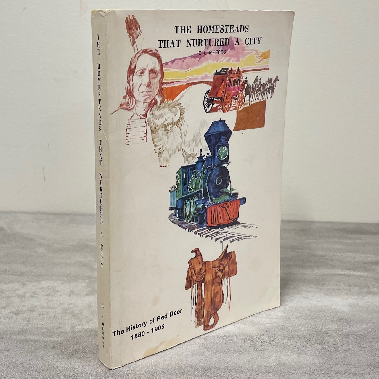 Homesteads Nurtured a City Red Deer Alberta Canada Canadian Local History Book