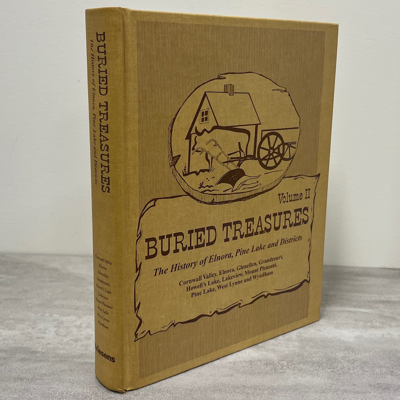 Buried Treasures Elnora Pine Lake Alberta Canada Canadian Local History Used Book