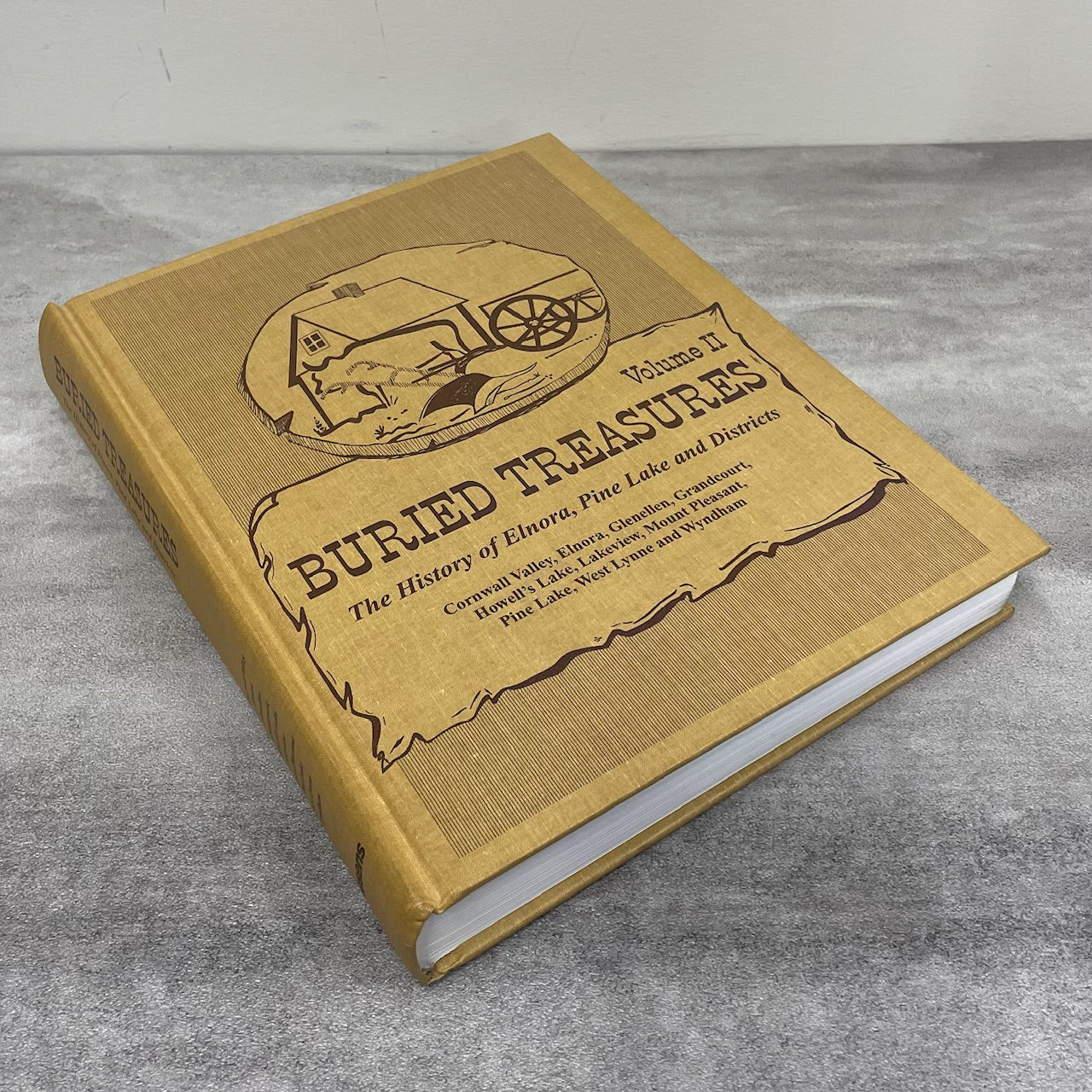 Buried Treasures Elnora Pine Lake Alberta Canada Canadian Local History Used Book