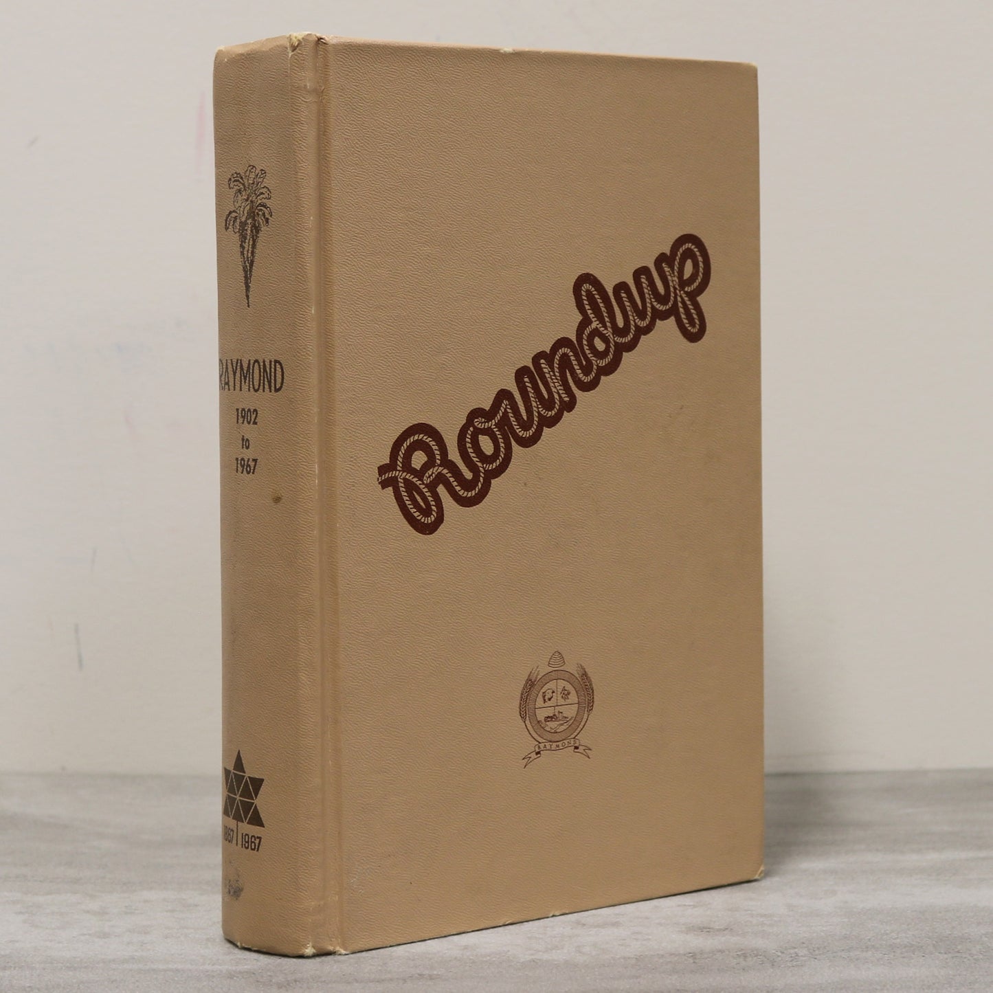 Roundup Raymond Alberta Canada Canadian Community Local History Used Book