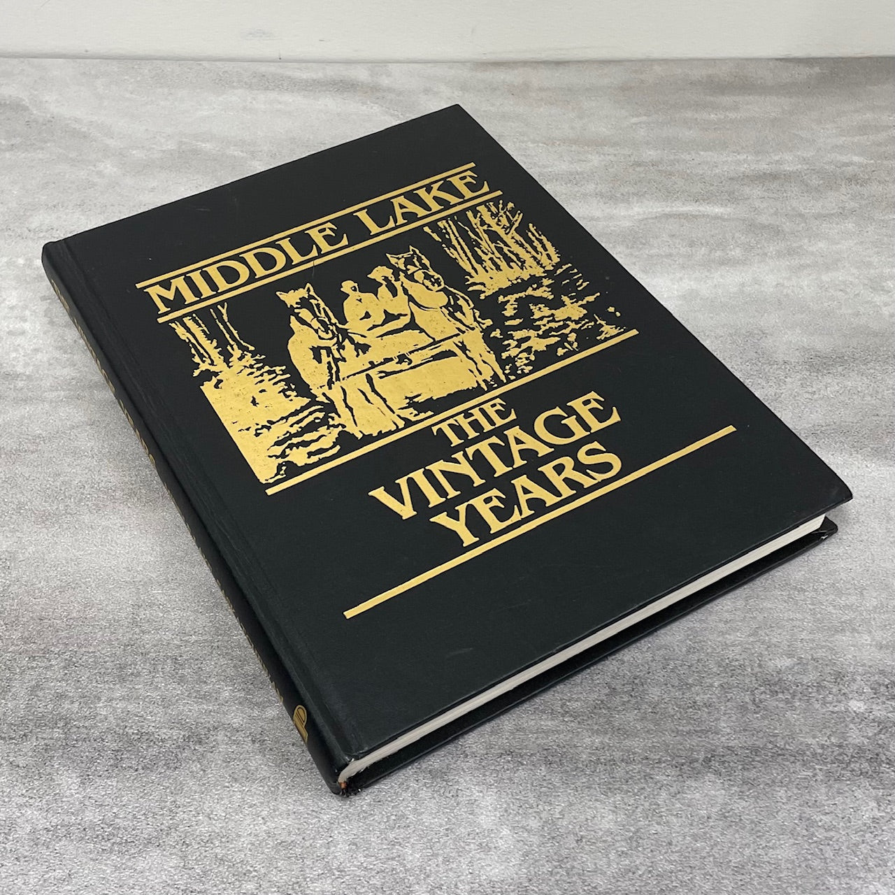 Middle Lake Vintage Years Saskatchewan History Canada Canadian Used Book