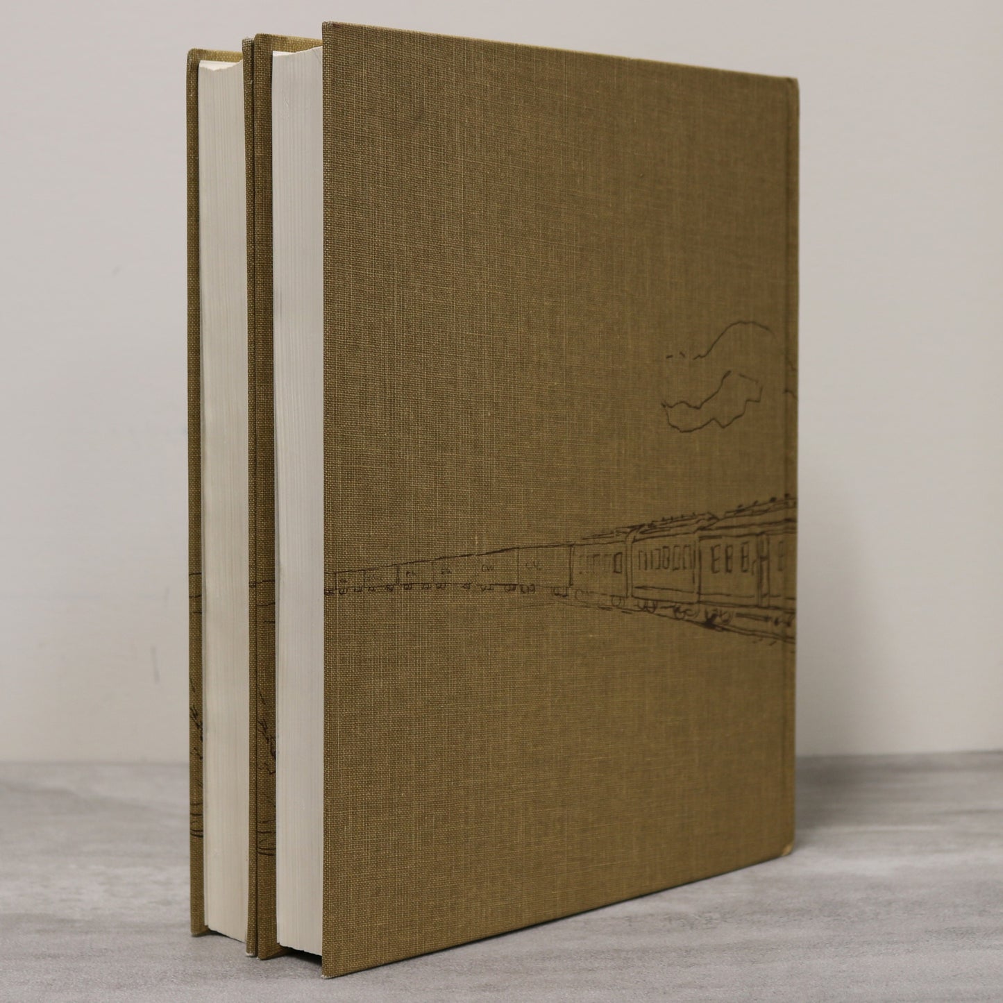 Vegreville in Review 2 Vols Alberta Canada Canadian Community History Used Book