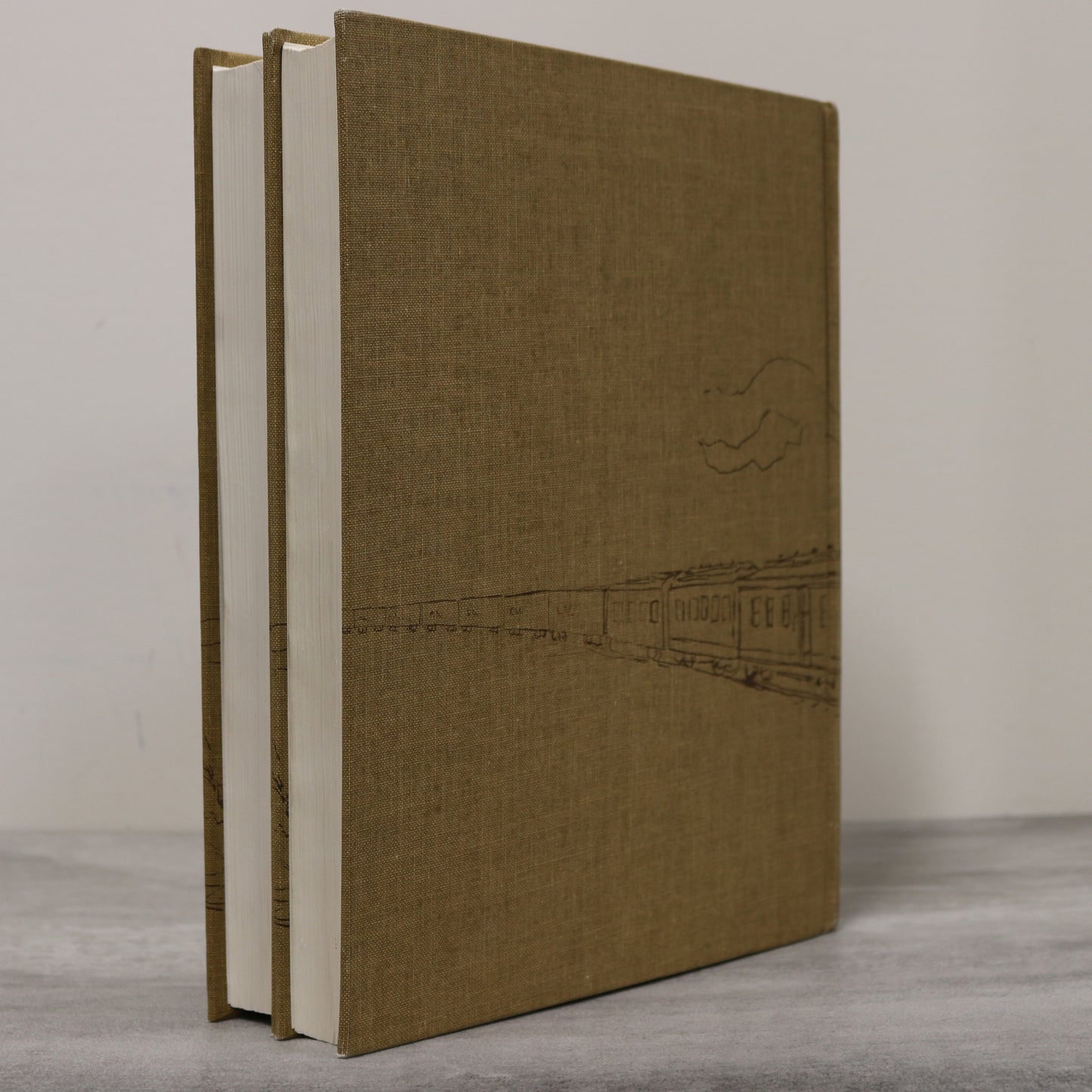 Vegreville in Review 2 Vols Alberta Canada Canadian Community History Used Book