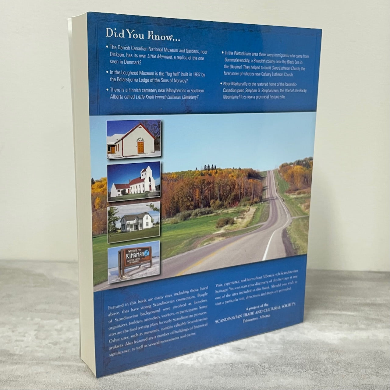 Scandinavian Connections Alberta Canada Canadian Icelandic Norwegian History Book