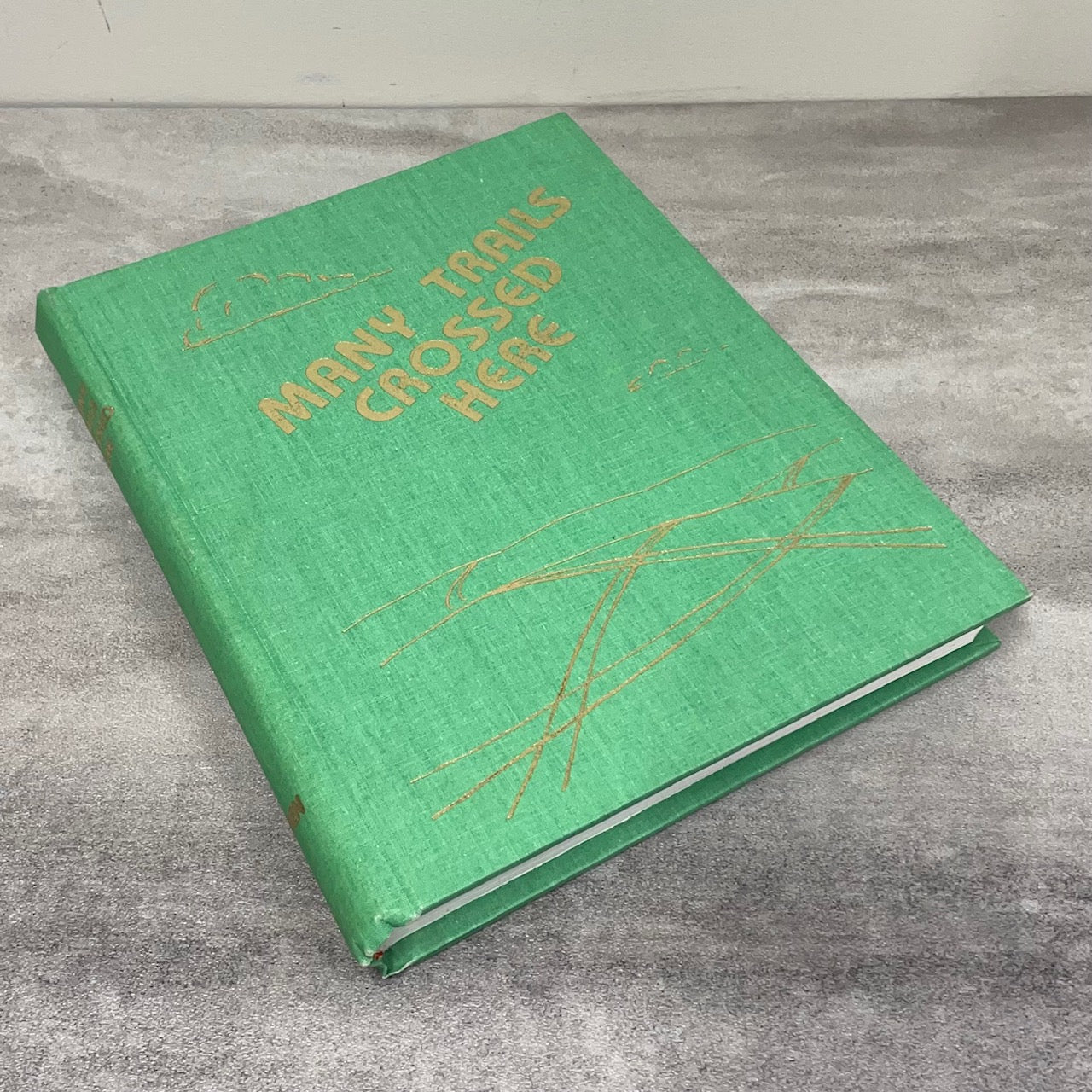 Many Trails Crossed Here Oyen Alberta Canada Canadian Local History Used Book