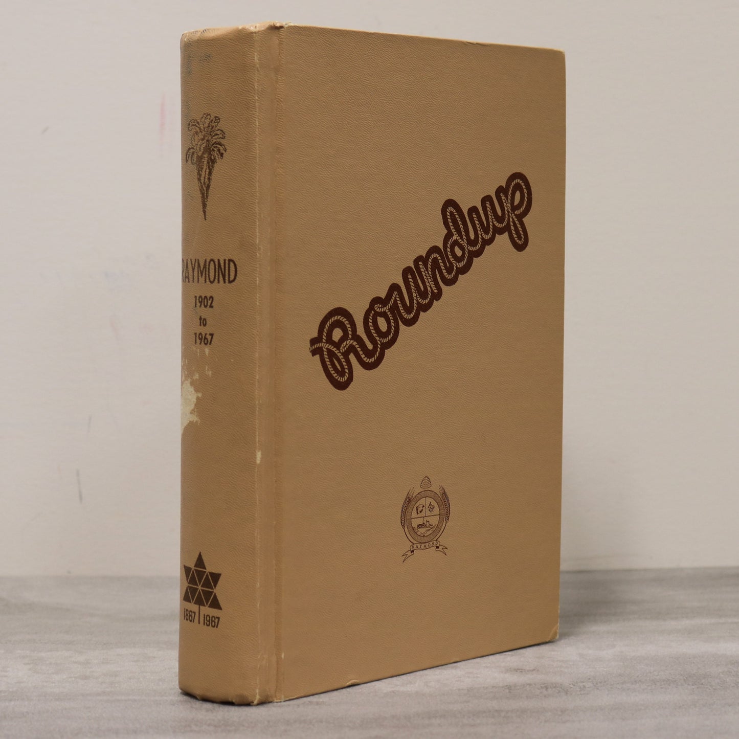 Roundup Raymond Alberta Canada Canadian Community Local History Used Book
