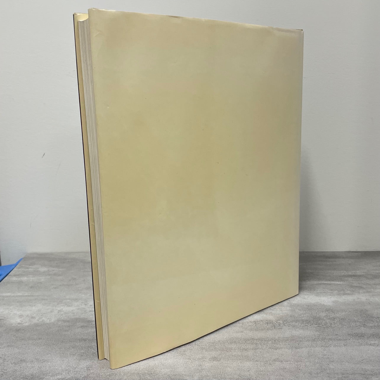 Emily Carr Canadian Canada Artist Painter Painting BC History Art Used Book