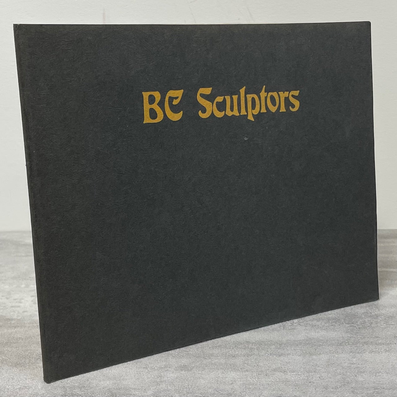 BC Sculptors Sculpture Art Artist British Columbia Canada Canadian Used Book